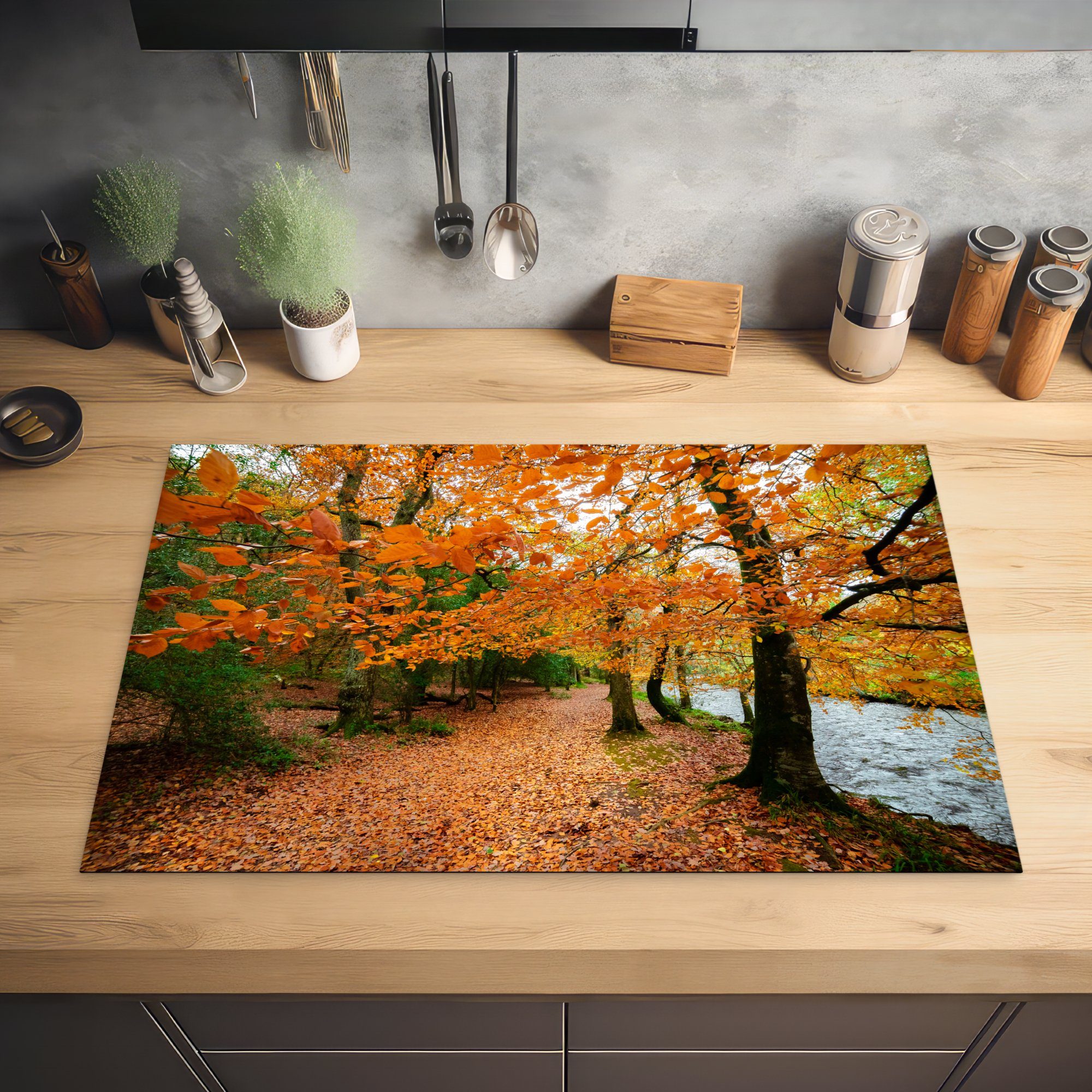 in Wälder Park für MuchoWow Induktionskochfeld (1 cm, Herdblende-/Abdeckplatte tlg), England, 81x52 Vinyl, Die küche, Schutz National Dartmoor die des herbstlichen Ceranfeldabdeckung