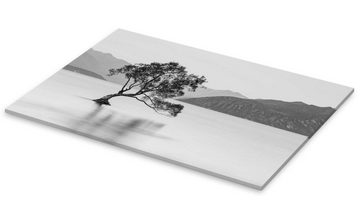 Posterlounge Acrylglasbild Sebastian Warneke, Einsamer Baum / schwarz-weiß, Badezimmer Rustikal Fotografie