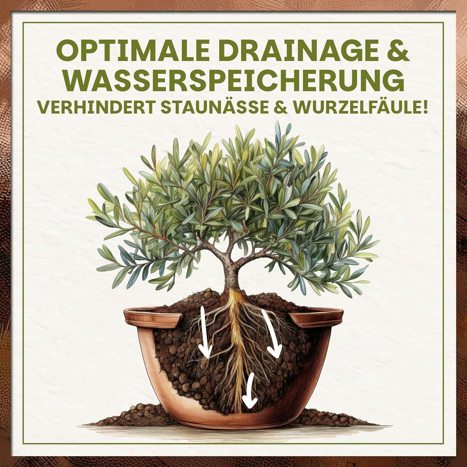 GREEN HOME LOVE NATURE Spezialerde Olivenbaum- & Oleandererde für mediterrane Pflanzen, Langzeitdünger 18 L, 36 L, 72 L, Langzeitdünger, Perlite, Kokosfasern, p – Bild 3 von 5