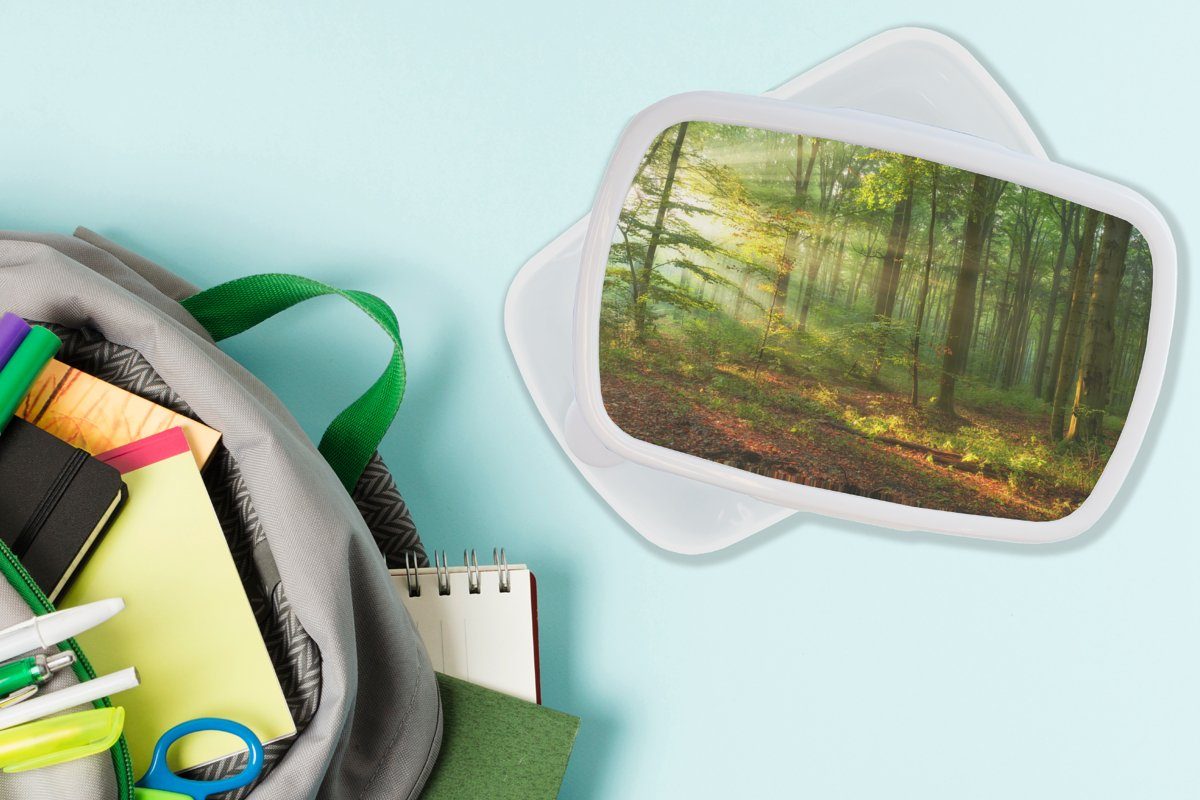 MuchoWow Natur - Brotdose, Kunststoff, - für Wald Herbst, für Bäume Lunchbox und - Erwachsene, Mädchen Brotbox und Jungs (2-tlg), Kinder weiß Sonne -
