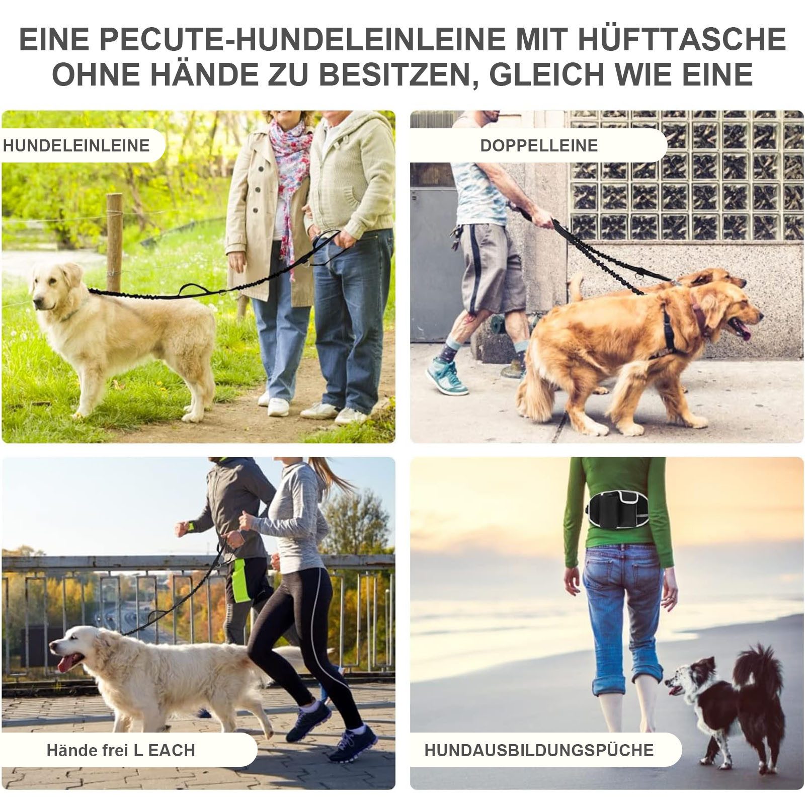HAUSS SPOLE Hundeleine Hunde-Geschirr Joggingleine mit günstig online kaufen