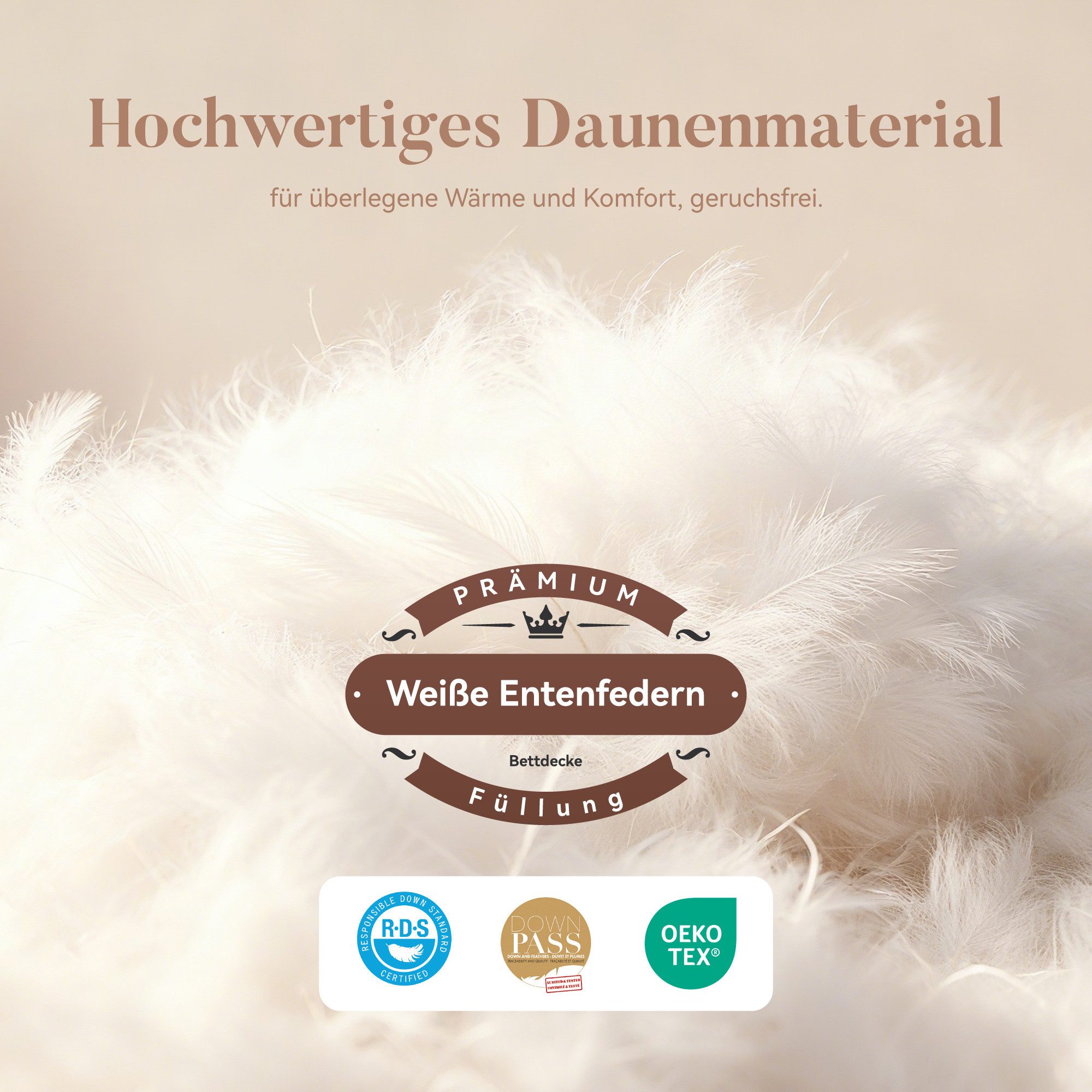 Sophia & William Daunenbettdecke 4 Jahreszeiten Bettdecke für Sommer & Winter, Füllung: 20%Daunen, 80% Federn, Bezug: 100% Baumwolle, Bettdecken 135x200 cm, 155x220 cm, 200x200 cm, 220x240 cm