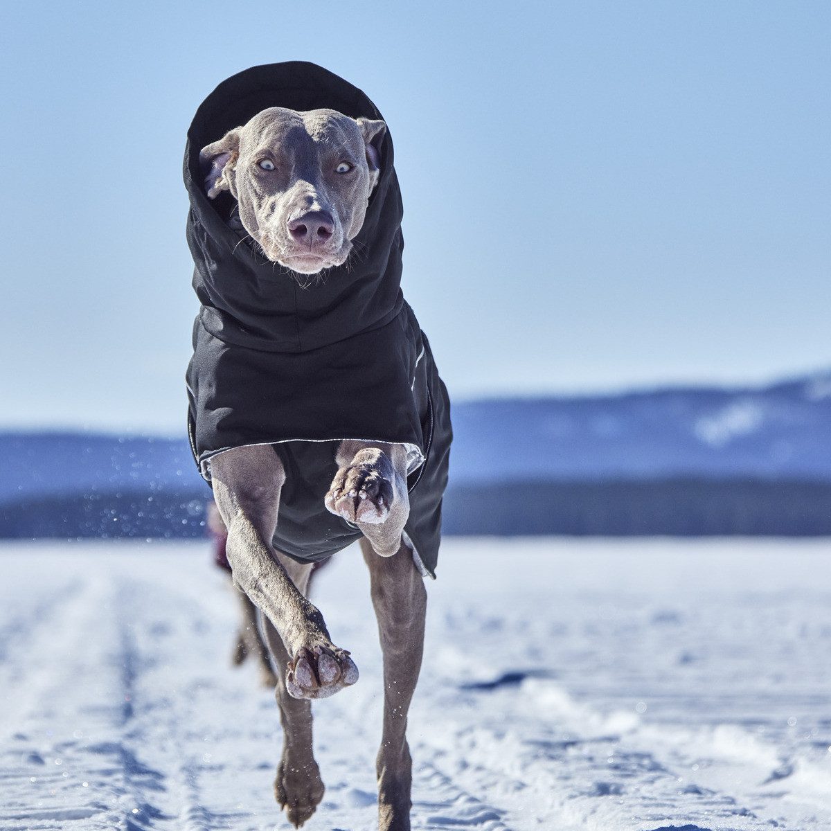 HURTTA Hundemantel Extreme warmer III ECO (Wärmejacke) raven (schwarz)