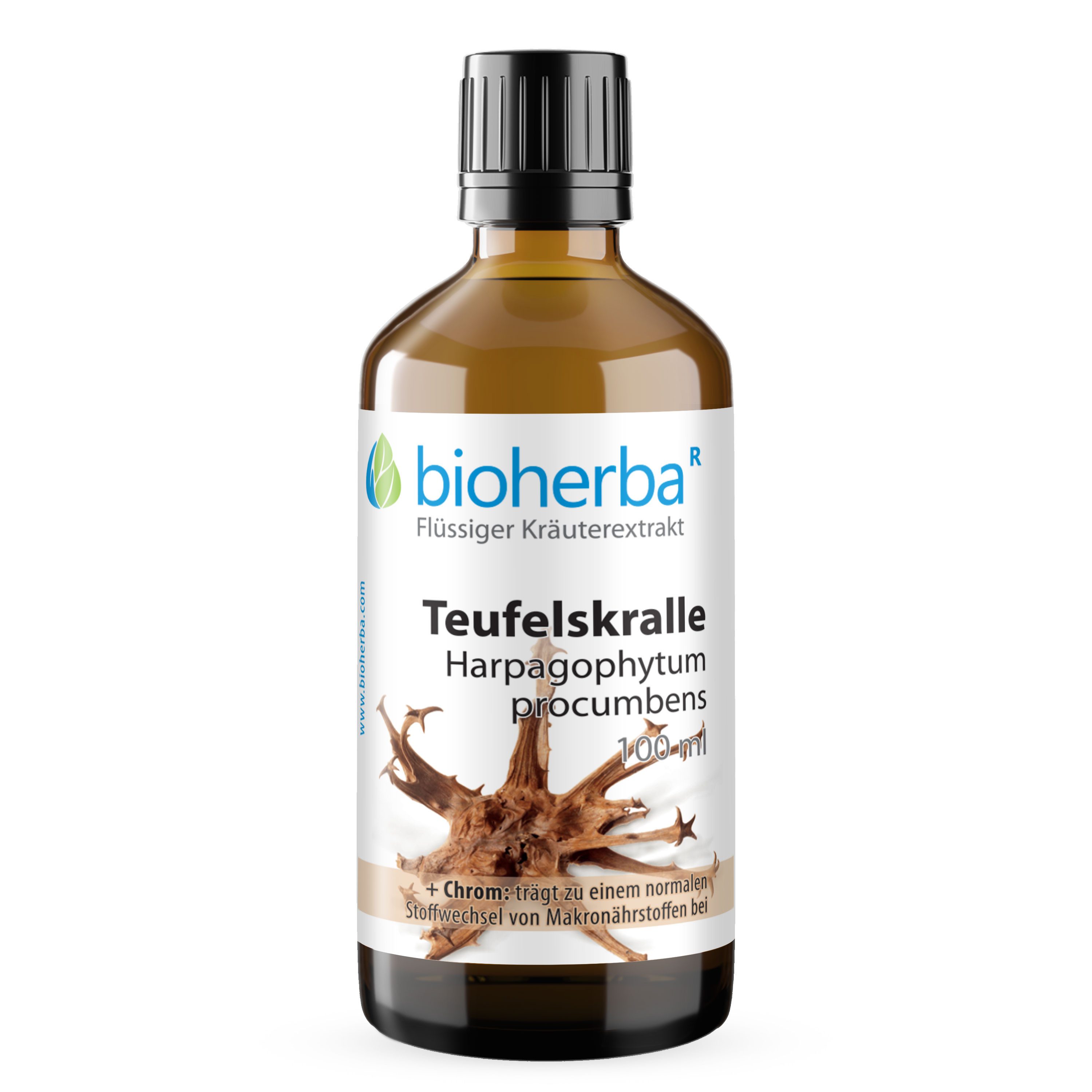 BIOHERBA R Bioherba Teufelskralle Tropfen Tinktur 100 ml Glasflasche, 1 er