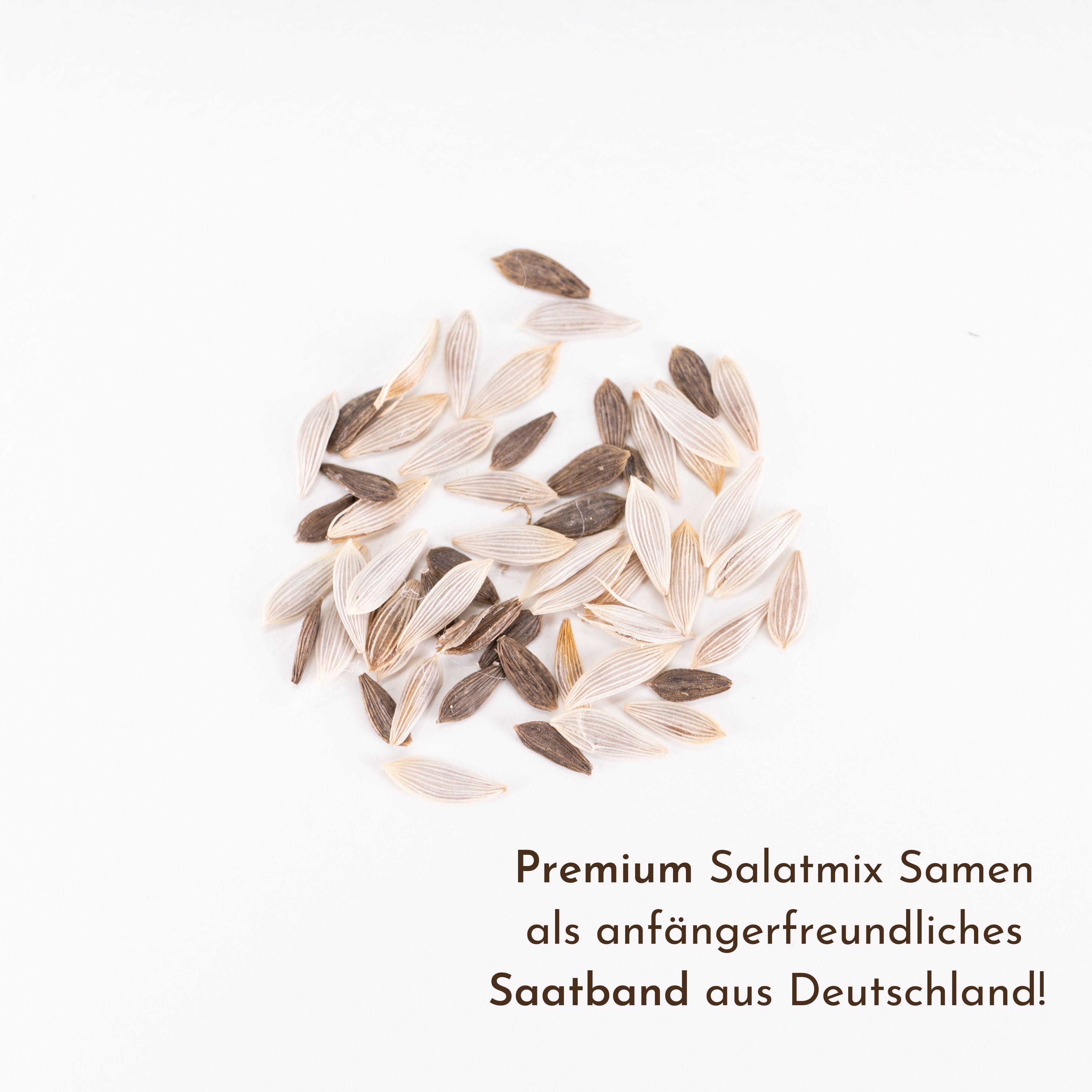 HappySeed Gemüsesamen 5m Saatband mit Salat Mix Samen - Lactuca sativa var. günstig online kaufen