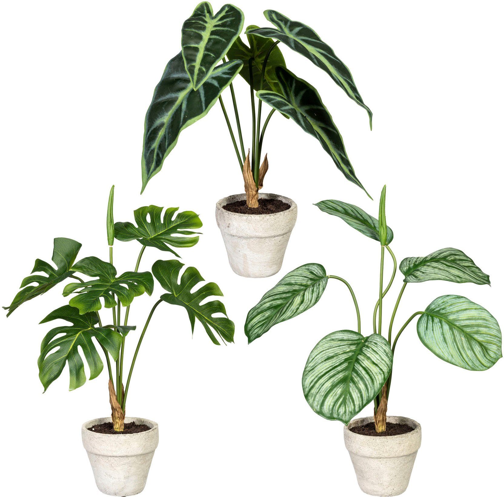 Grünpflanzen Zementtopf, Set Creativ Höhe Set green, 40 cm, Zimmerpflanze Künstliche aus im Grünpflanzen, 3er