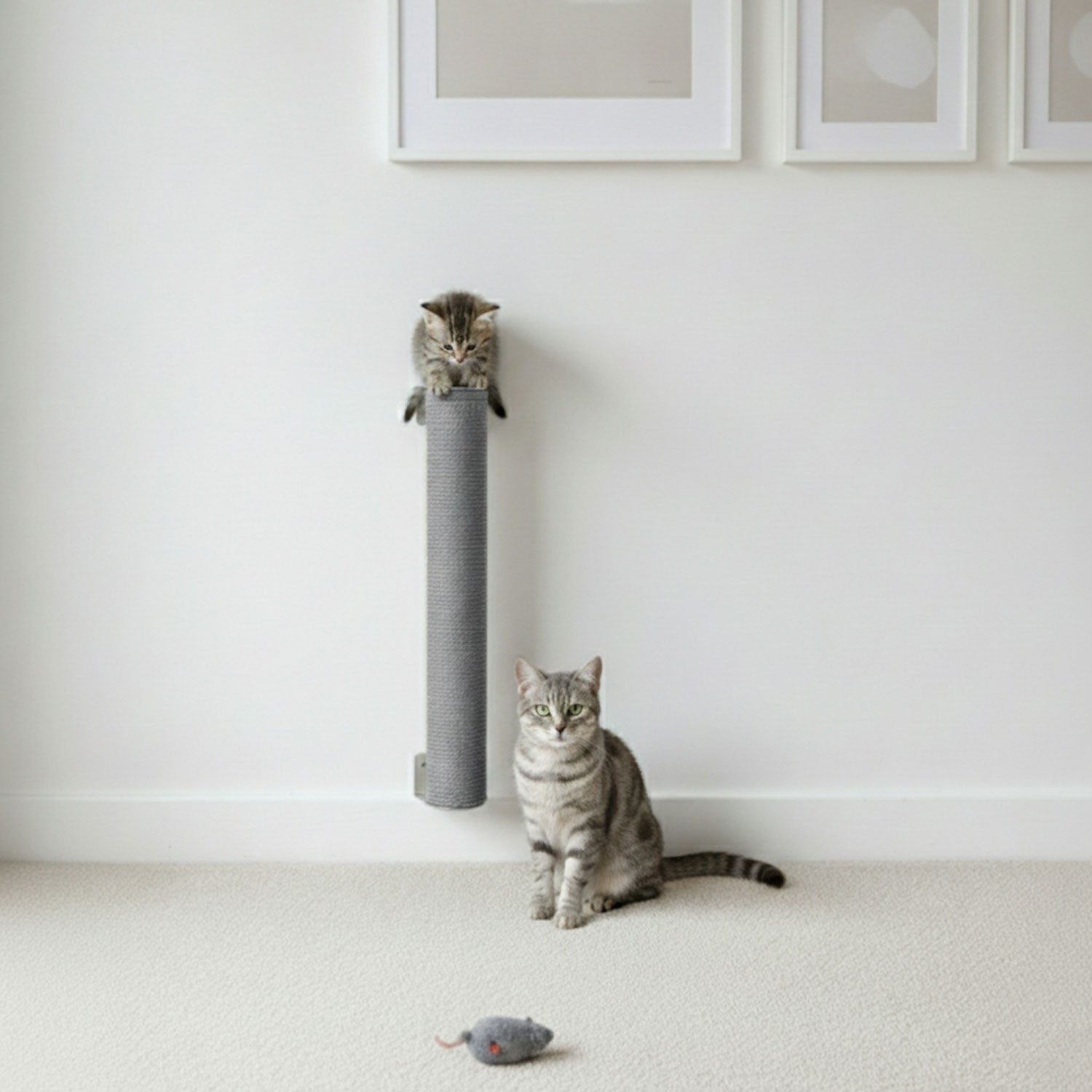 eyepower Kratzbaum zur Wandmontage - 60 cm Wandkratzbaum für Katzen - Sisal Kratzstamm, Sisalstamm Wand - Katzenkratzbaum platzsparend - Kletterwand Katze