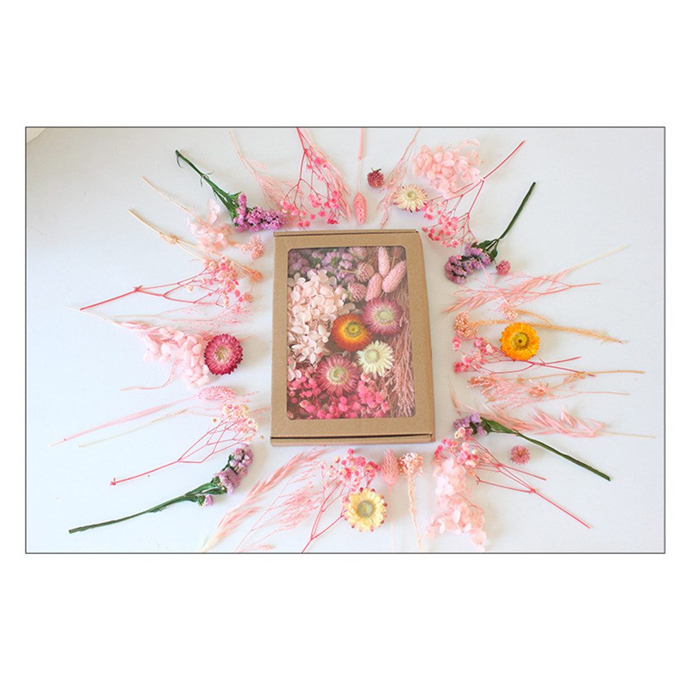 Trockenblume Klein Trockenblumen Deko Trockenblumen mit günstig online kaufen