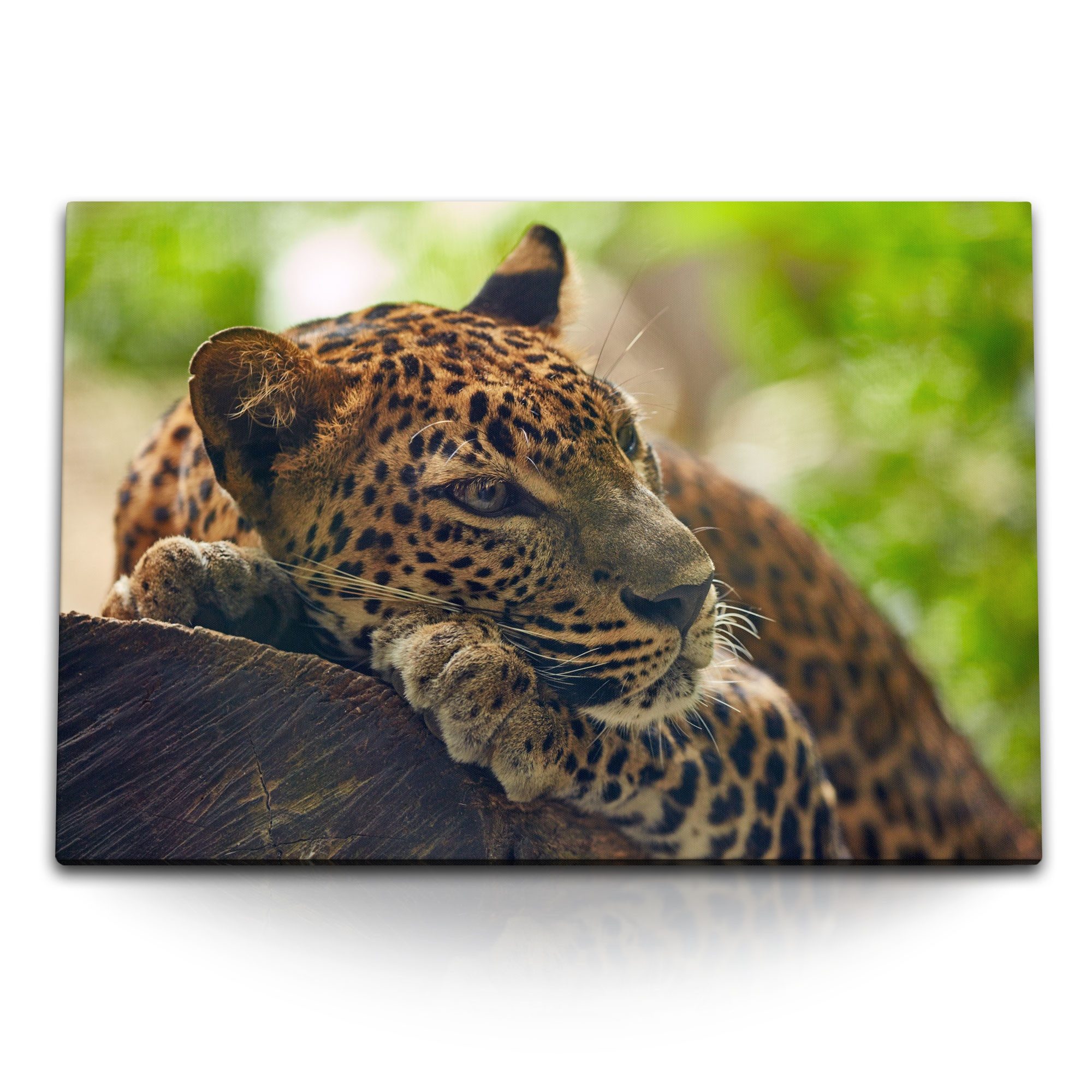 Leinwandbild 120x80cm Wandbild auf Leinwand Jaguar im Dschungel Tierfotografie Raub