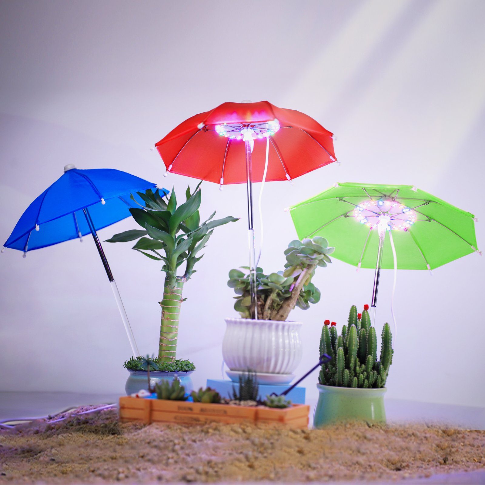 Sunicol Pflanzenlampe 48LED, Leuchte, Voll Blau Zeitschaltuhr Kleiner Zimmerpflanzen Pflanzenleuchte, Wachstumslampe Mini mit Dimmbar Time, Grow Sukkulente Spektrum