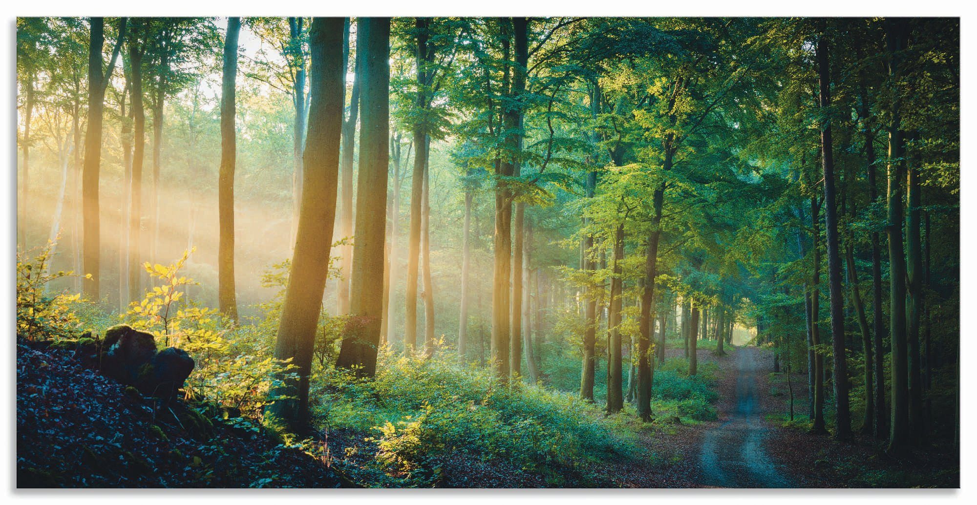 Artland Wandbild »Herbstmorgen im Wald«, Waldbilder (1 Stück), in vielen Größen & Produktarten - Alubild / Outdoorbild für den Außenbereich, Leinwandbild, Poster, Wandaufkleber / Wandtattoo auch für Badezimmer geeignet-Otto