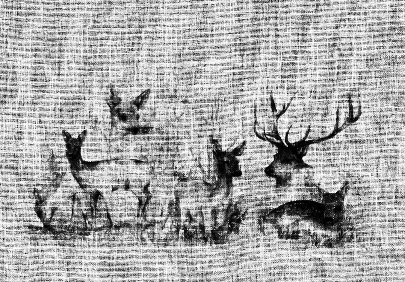 Querbehang Bambi, HOSSNER - ART OF HOME DECO, Stangendurchzug (1 St),  halbtransparent, HxB: 40x120, Landhaus-Look