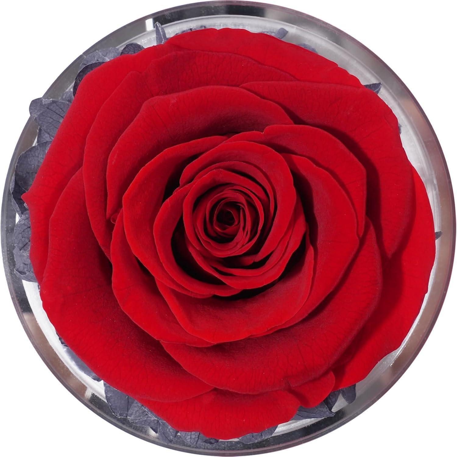 LuxusKollektion Schmuckset Geschenk für Freundin Engel Figur Ewige Rose Glaskuppel beste Freundin