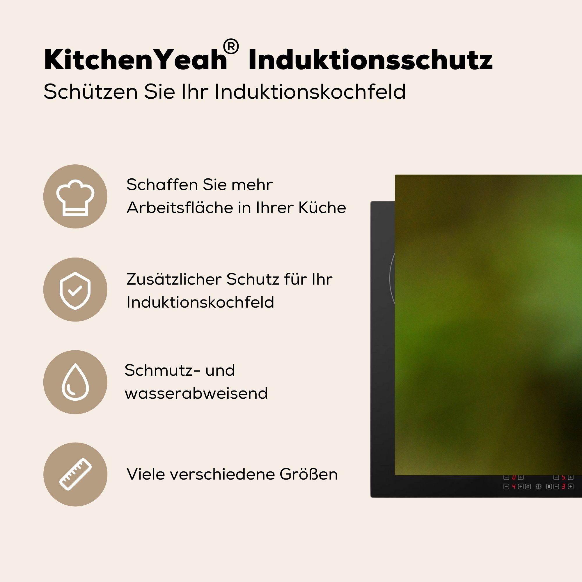 MuchoWow Herdblende-/Abdeckplatte Frosch - Regenwald (1 die Zweig, für Schutz küche, cm, Vinyl, Ceranfeldabdeckung 81x52 tlg), Induktionskochfeld 