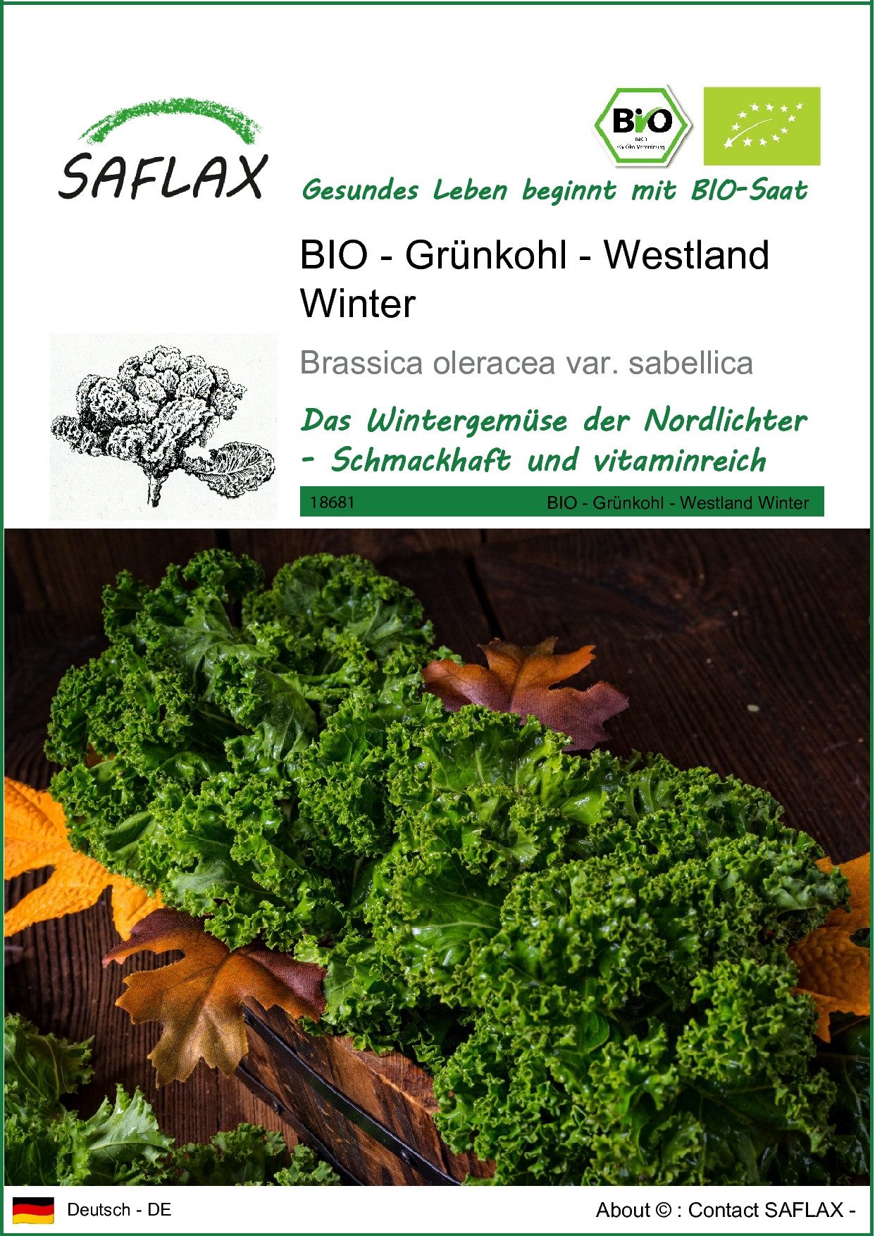 Gemüsesamen SAFLAX - Samen - BIO - Grünkohl - Westland Winter