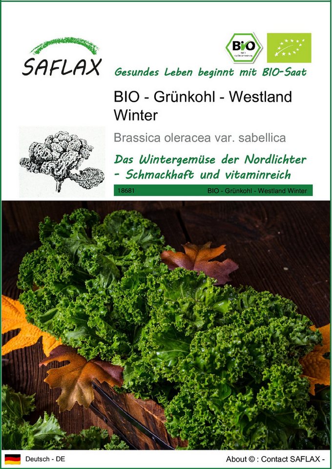 SAFLAX Gemüsesamen SAFLAX - Samen - BIO - Grünkohl - Westland Winter