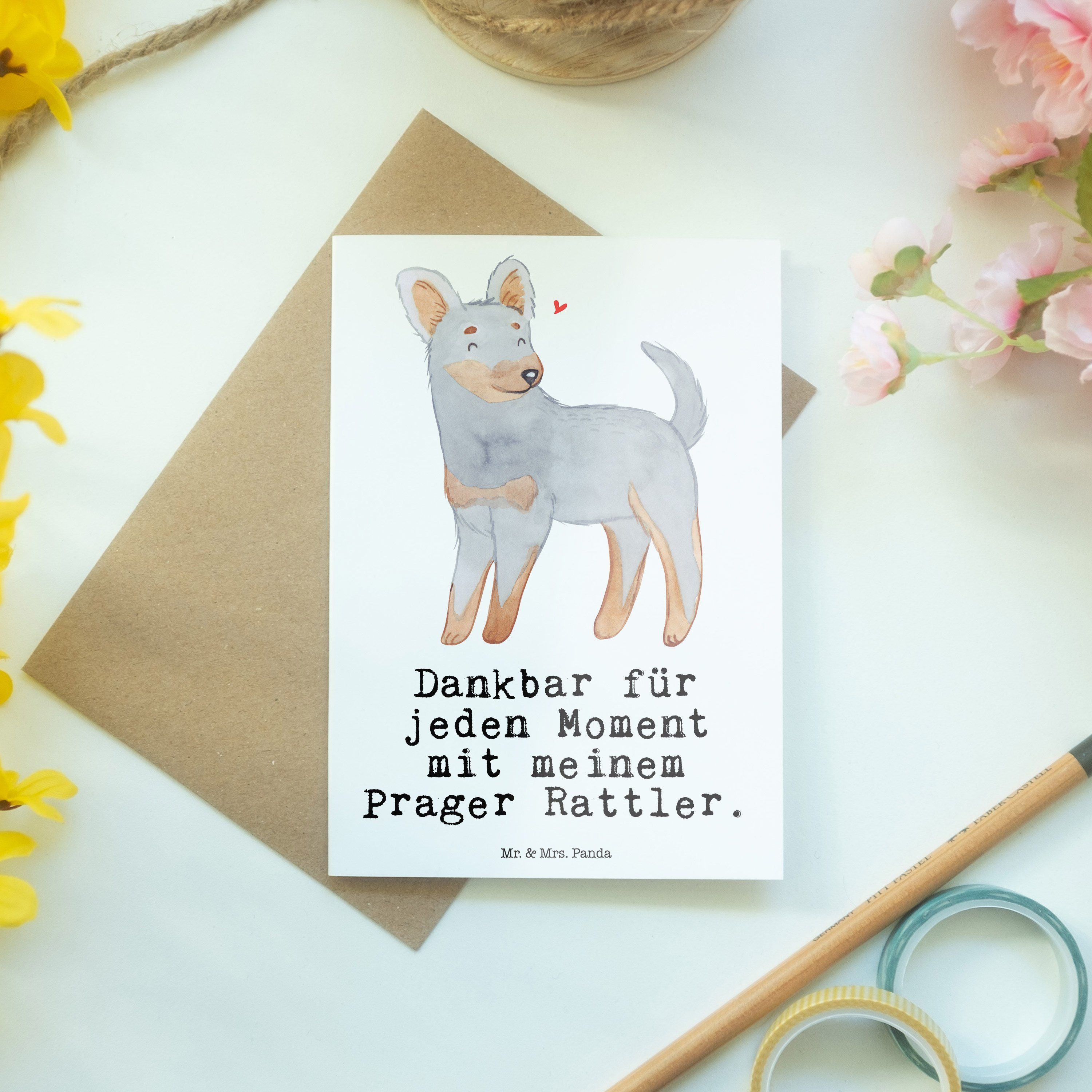 Glückwunschkarte, - Hunderasse Prager Mr. Mrs. Rattler Moment Panda Geschenk, Grußkarte - Weiß &