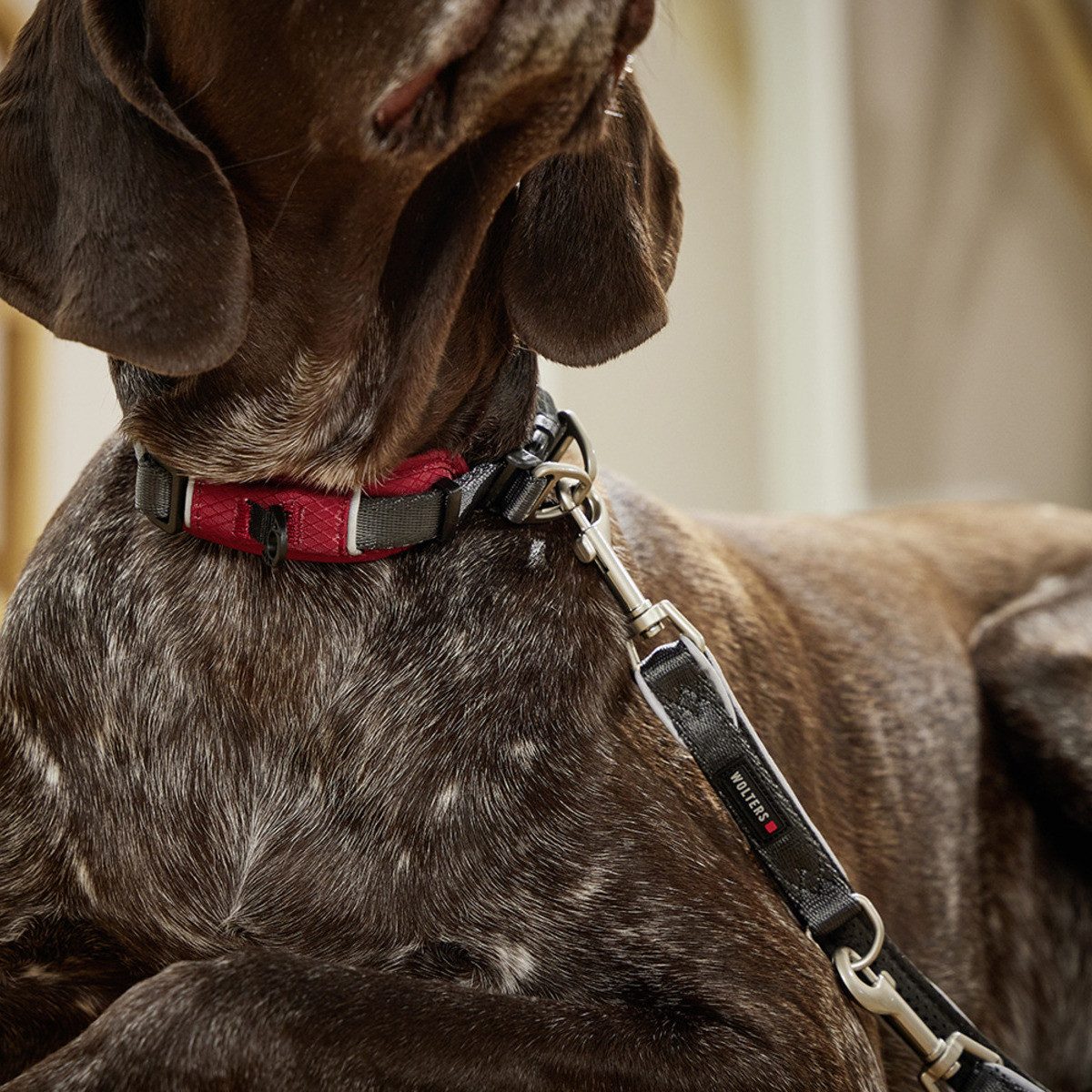Wolters Hunde-Halsband Halsband Active Pro Comfort rot/anthrazit