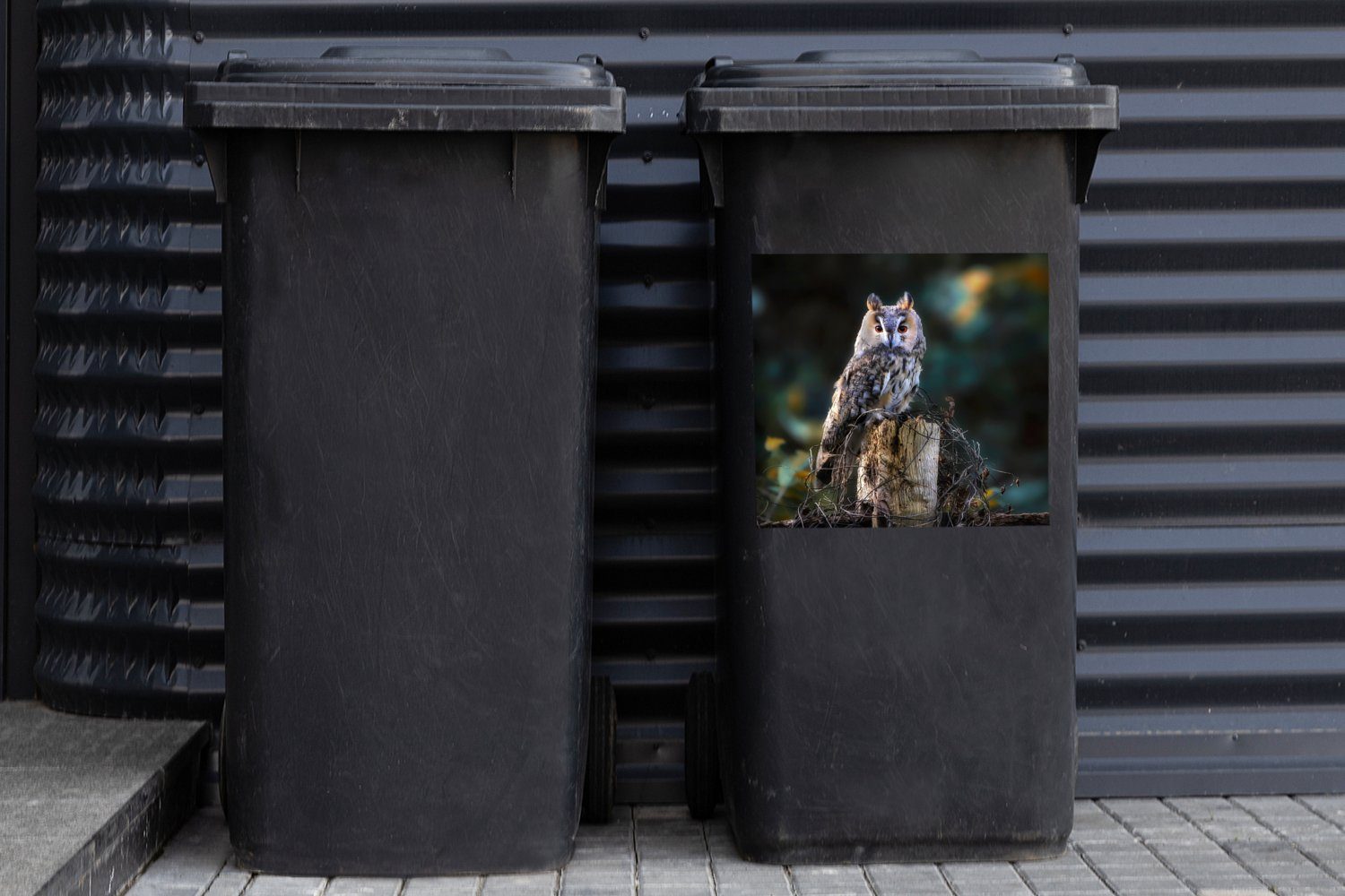 - Mülltonne, Vogel Eule MuchoWow Abfalbehälter (1 Sticker, Wandsticker - Herbst Mülleimer-aufkleber, St), - Container, Äste