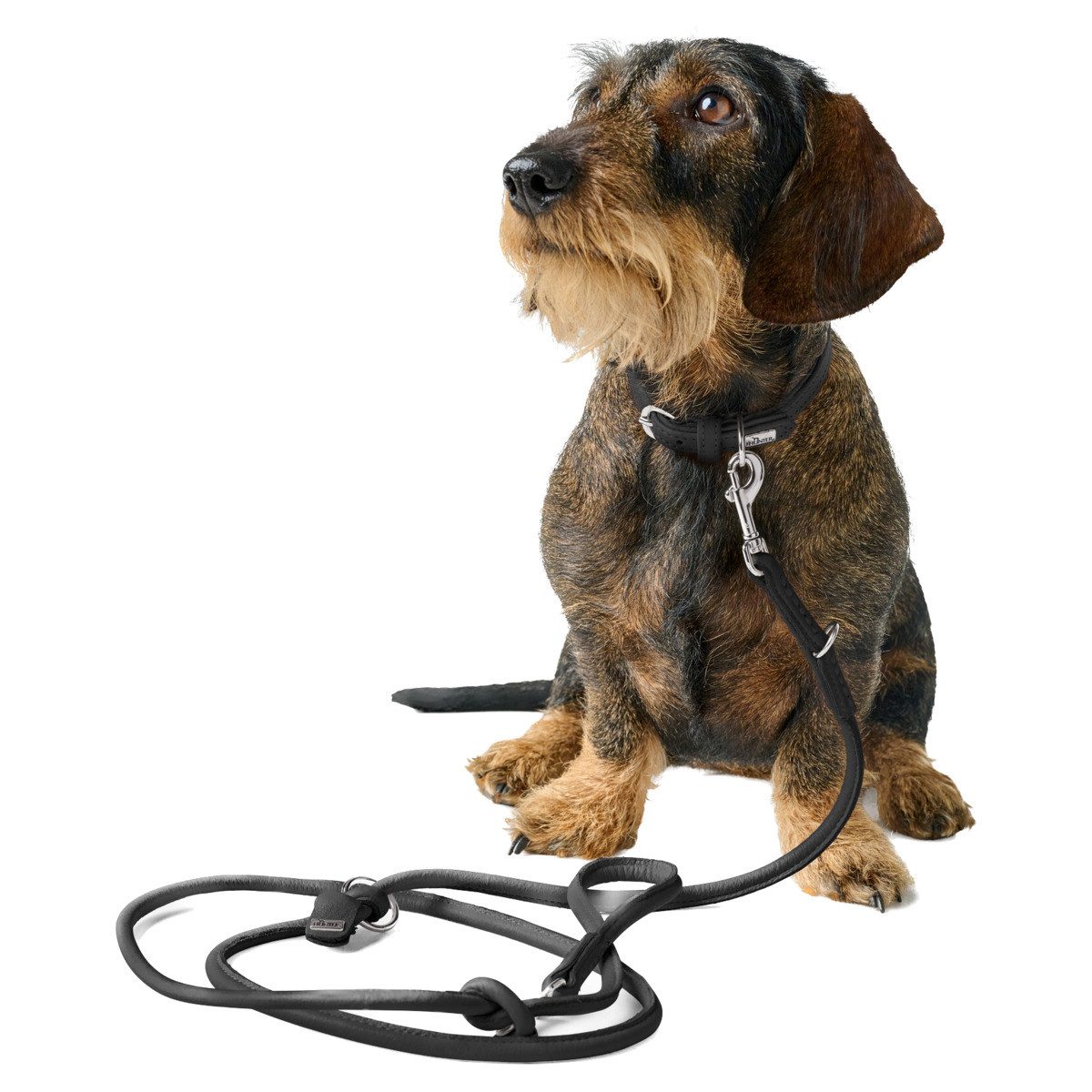 Hunter Tierbedarf Hunde-Halsband Halsband Soho Mini schwarz