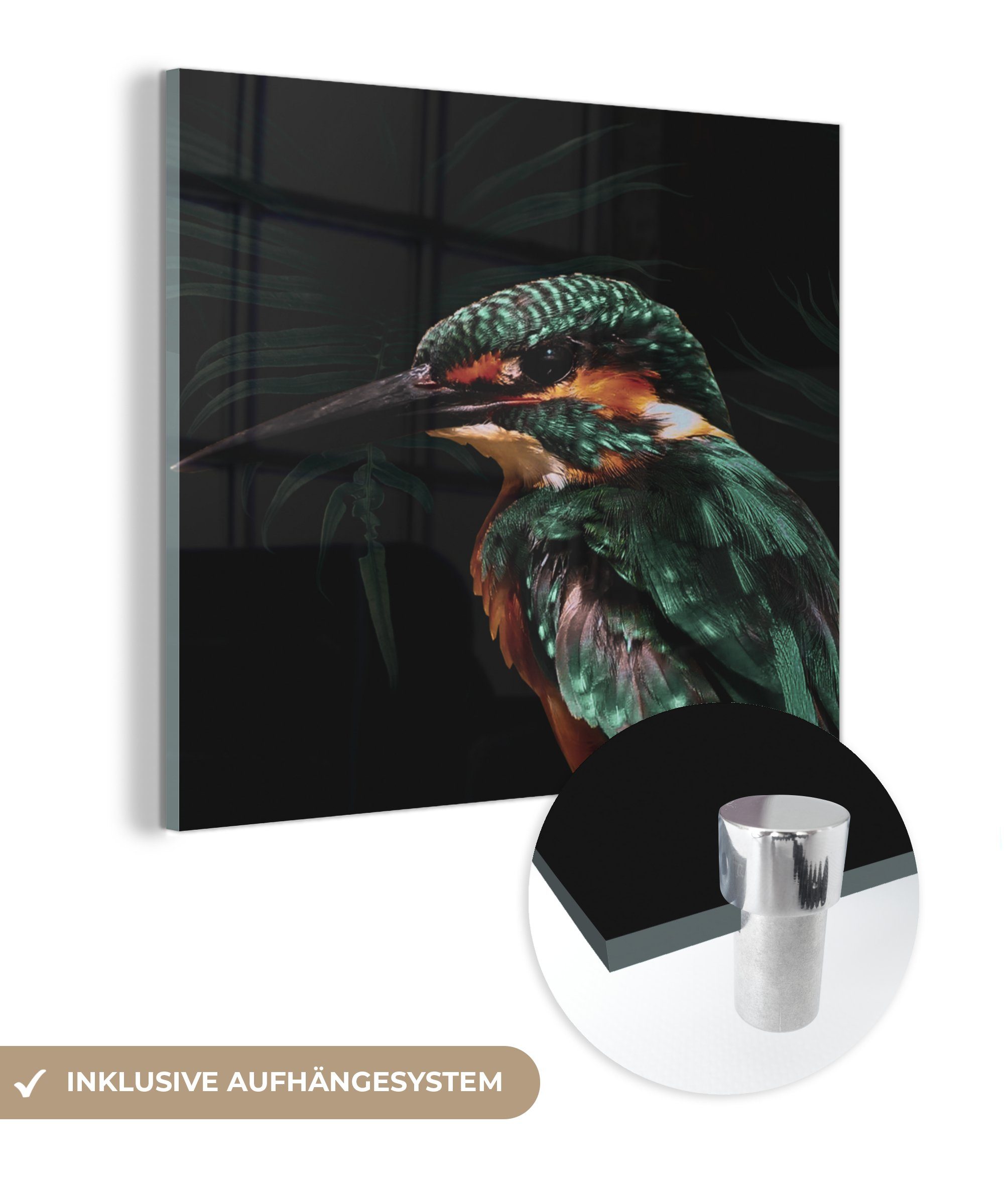 - auf Glasbilder - Glas - Glas Vogel MuchoWow - auf Grün, Eisvogel Wandbild - Acrylglasbild Bilder Foto St), Wanddekoration (1