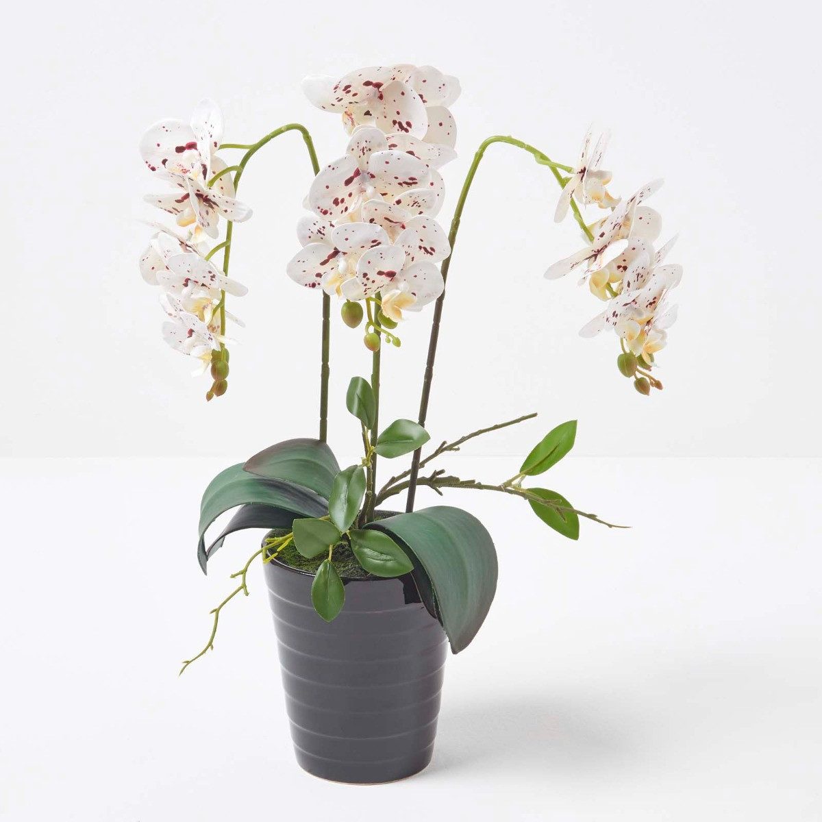 Kunstorchidee Künstliche weiße Phalaenopsis-Orchidee im schwarzen Keramik-Topf 56cm, Homescapes