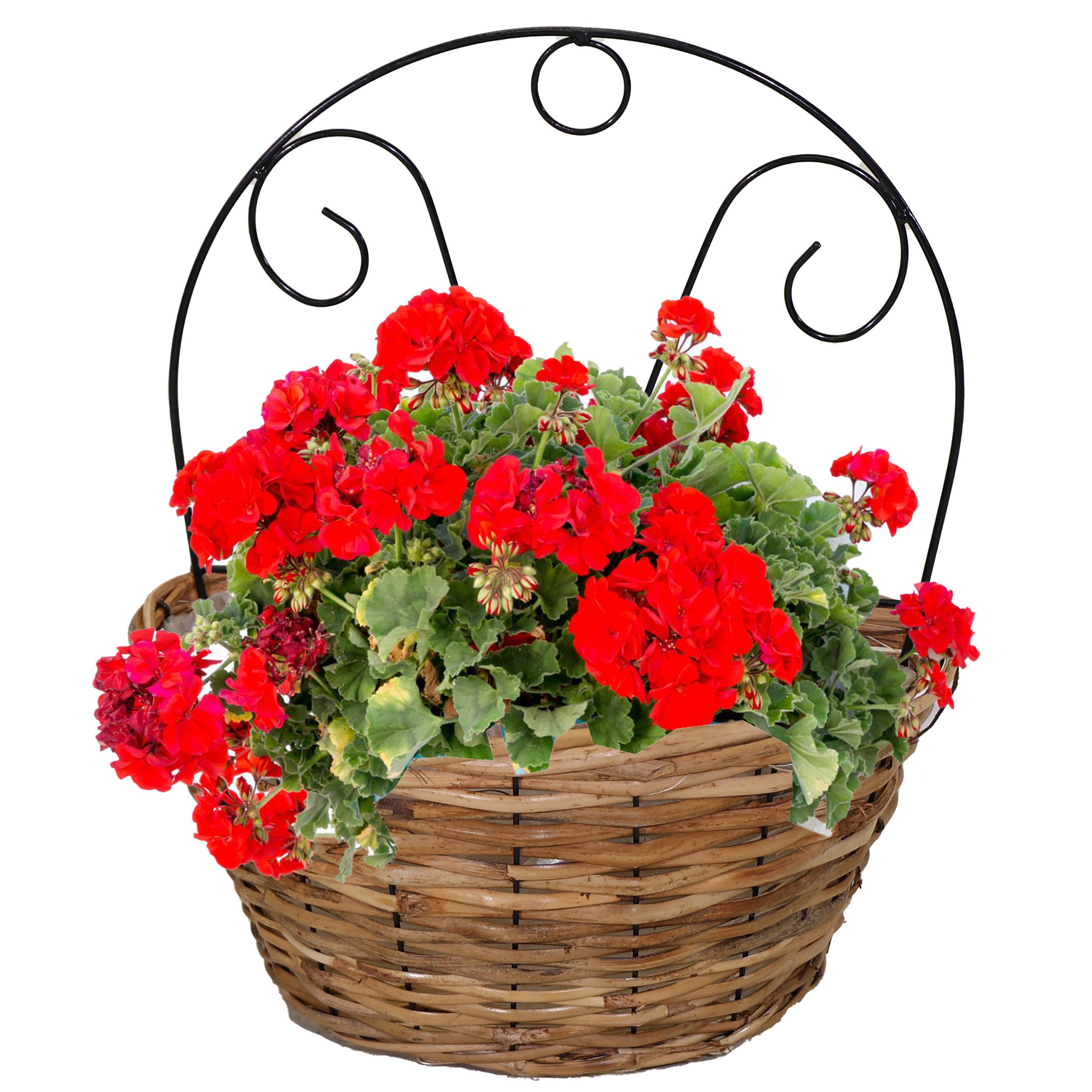 Annastore Weidenkorb Blumenampel zum Hängen - günstig online kaufen
