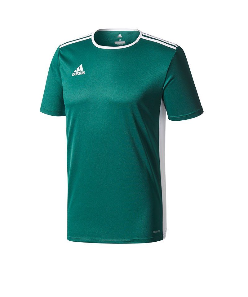 adidas Performance Fußballtrikot Entrada Trikot 18 Kids