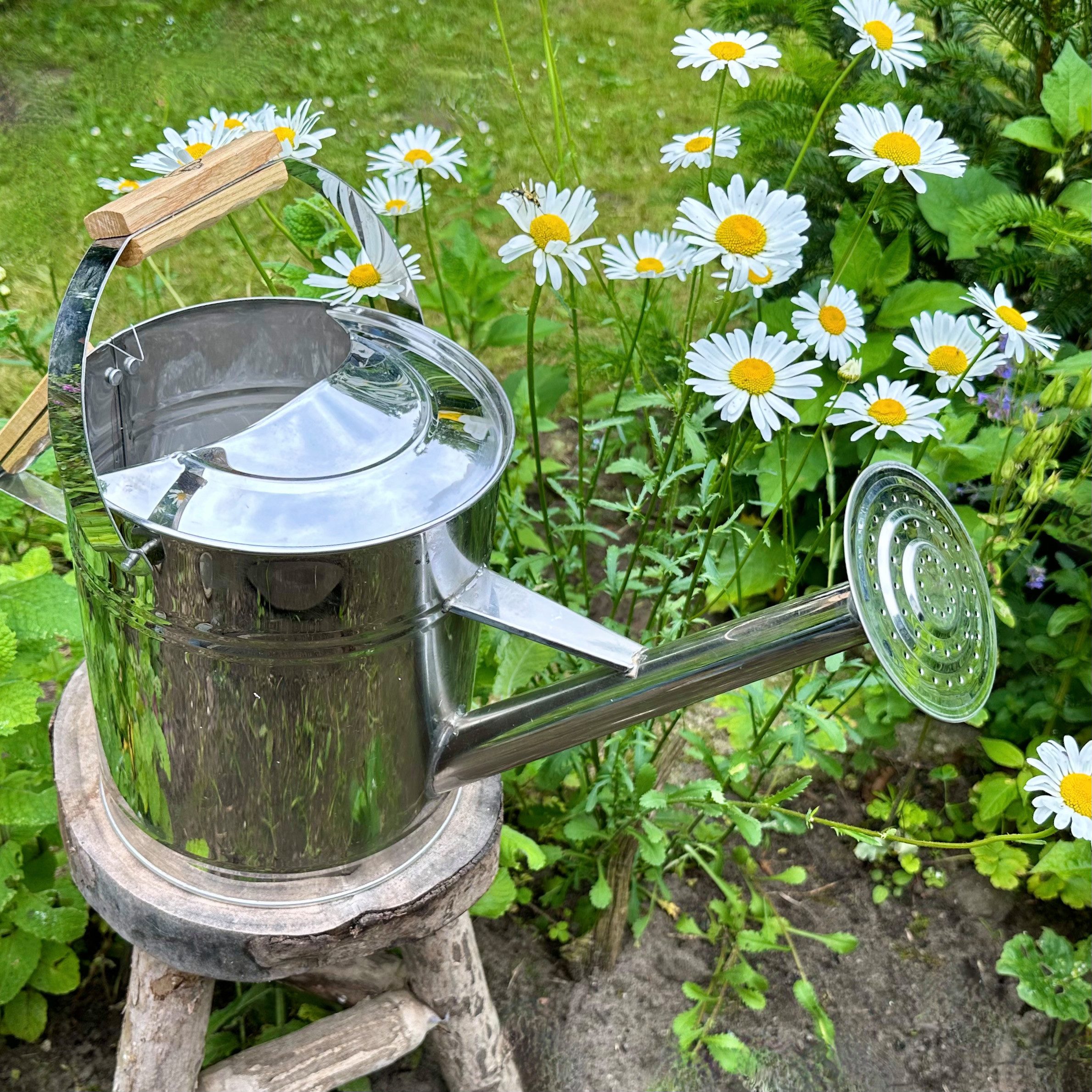 Antikas Gartenpflege-Set Gießkanne aus Edelstahl, Silber, Deko-Kanne, Blumenbeet