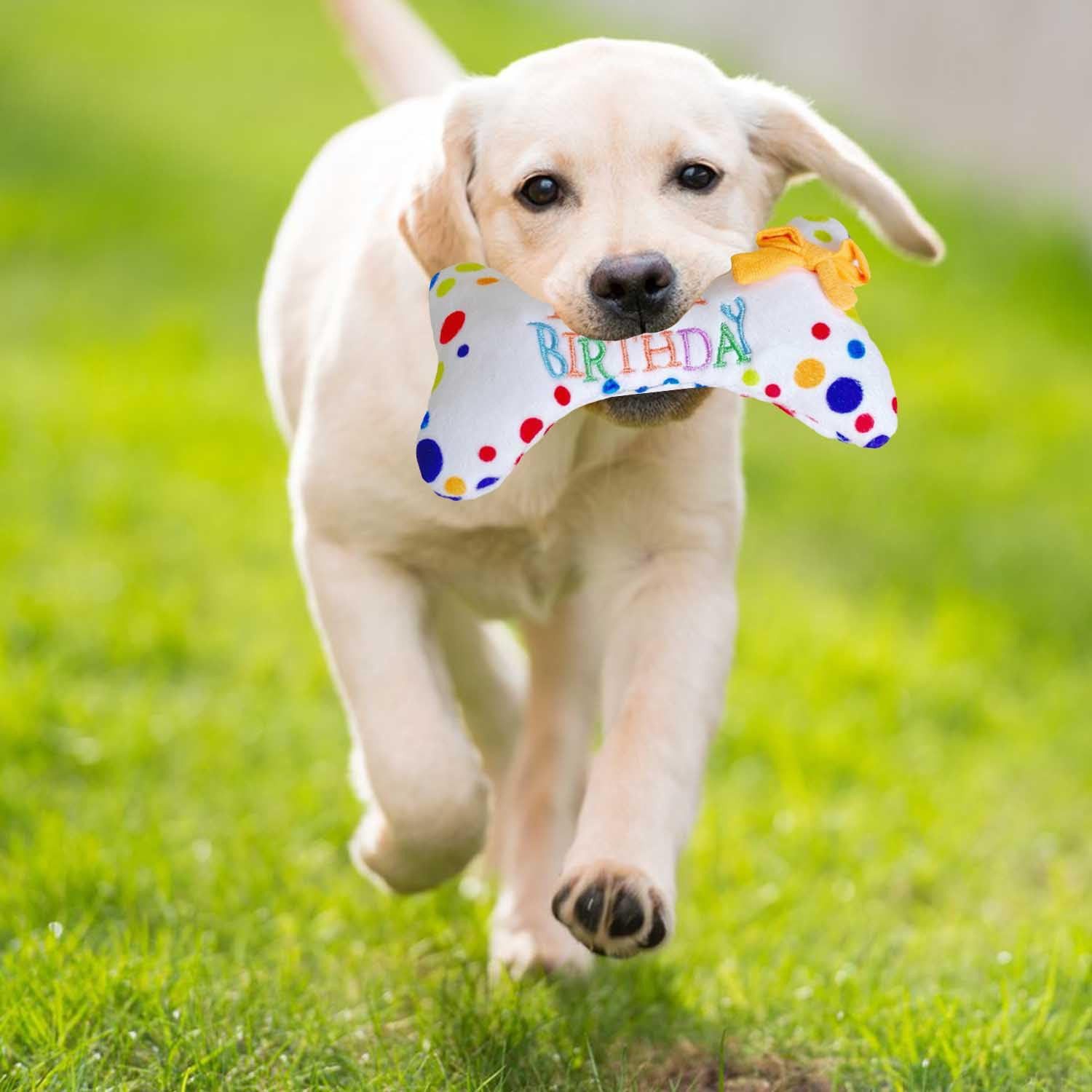 Coonoor Tier-Beschäftigungsspielzeug Tierkuscheltier Hundespielzeug, Plüsch mit Quietscher, für Hund Interaktives Schleppen Spielzeug Geburtstagsgeschenk