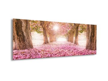 artissimo Glasbild Glasbild 80x30cm Bild aus Glas Wandbild Wald rosa, Bäume und Wälder: Rosa Kirschblüten
