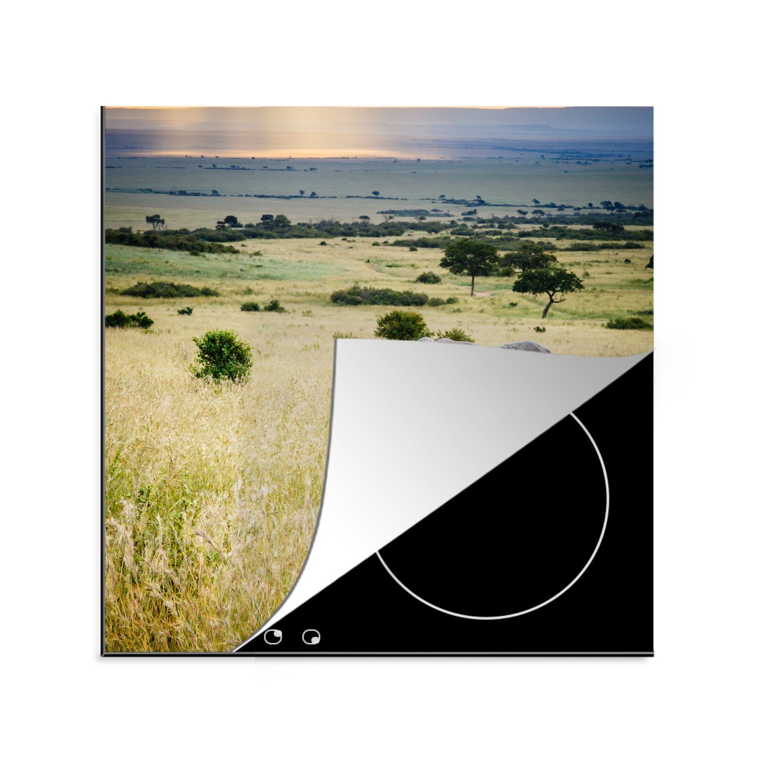MuchoWow Herdblende-/Abdeckplatte Elefant - Tiere - Landschaft - Sonne - Natur, Vinyl, (1 tlg), 78x78 cm, Ceranfeldabdeckung, Arbeitsplatte für küche