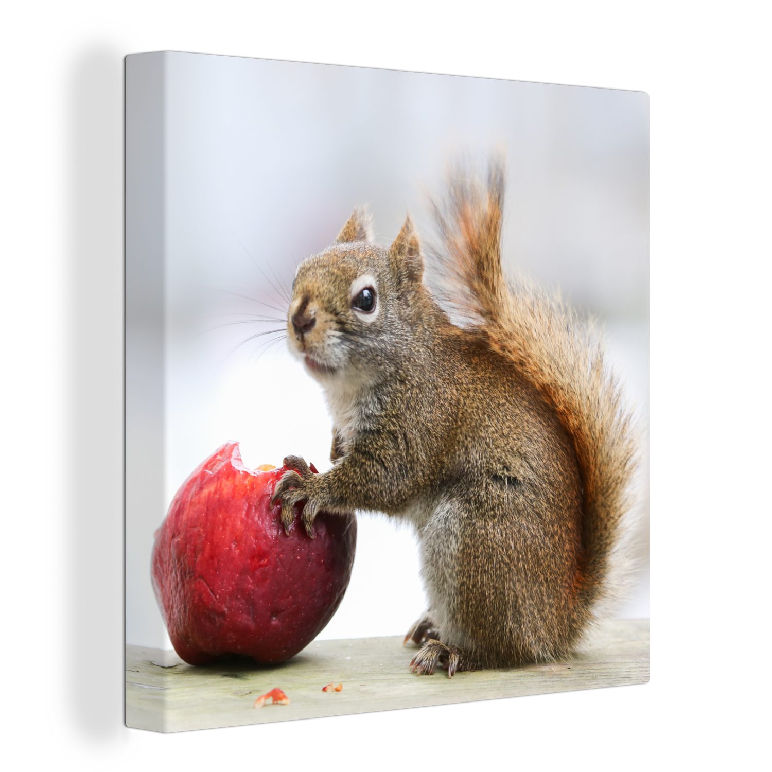 OneMillionCanvasses® Leinwandbild Eichhörnchen isst einen Apfel, (1 St), Leinwand Bilder für Wohnzimmer Schlafzimmer