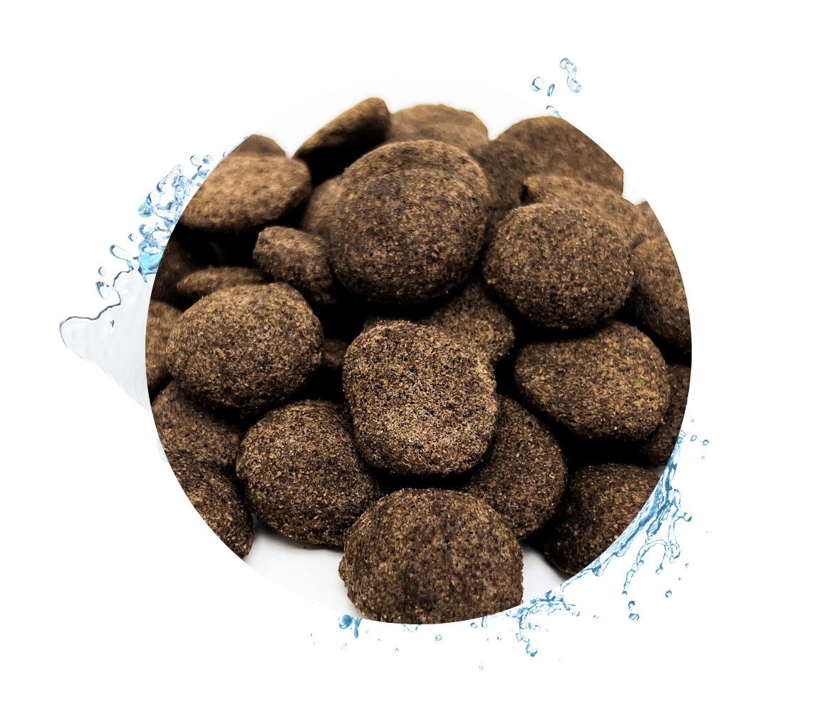 Warnick´s Tierfutterservice Koisnack Hanzam - schwimmfähiger Taler für Koi, Hauptfutter für: Zierfische, Koi