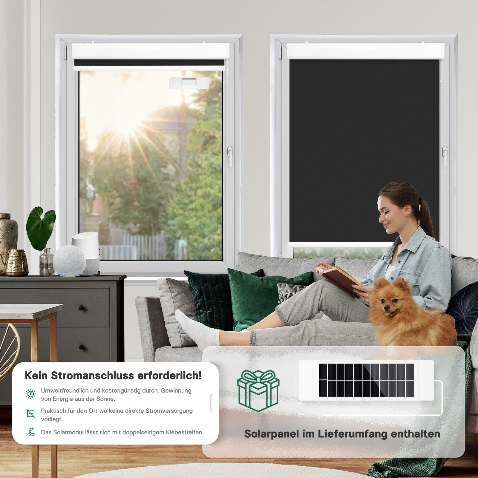 Elektrisches Rollo Thermorollo, mit Fernbedienung Verdunkelung günstig online kaufen