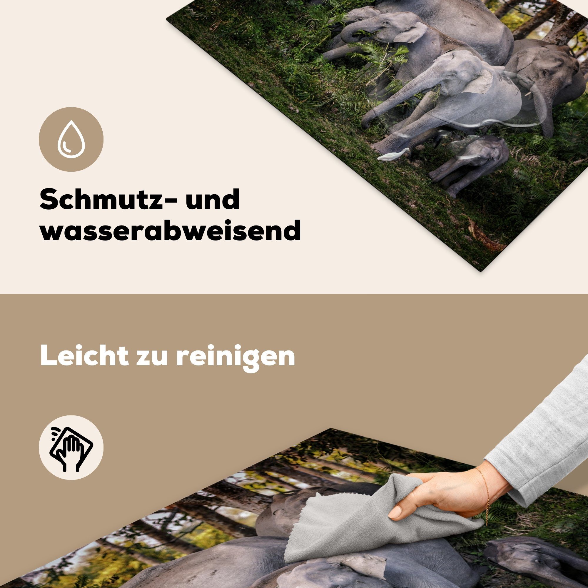 die Elefant Induktionskochfeld MuchoWow (1 Wald, cm, Blätter für - Schutz Herdblende-/Abdeckplatte Ceranfeldabdeckung Vinyl, - 81x52 tlg), küche,