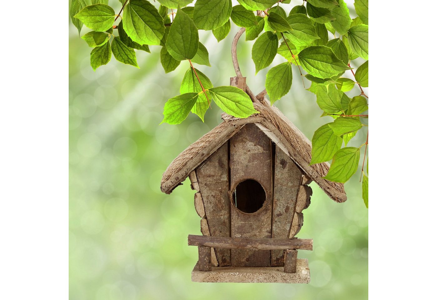 Thumbnail - relaxdays Vogelhaus Deko Vogelhaus in verschiedenen Designs, B