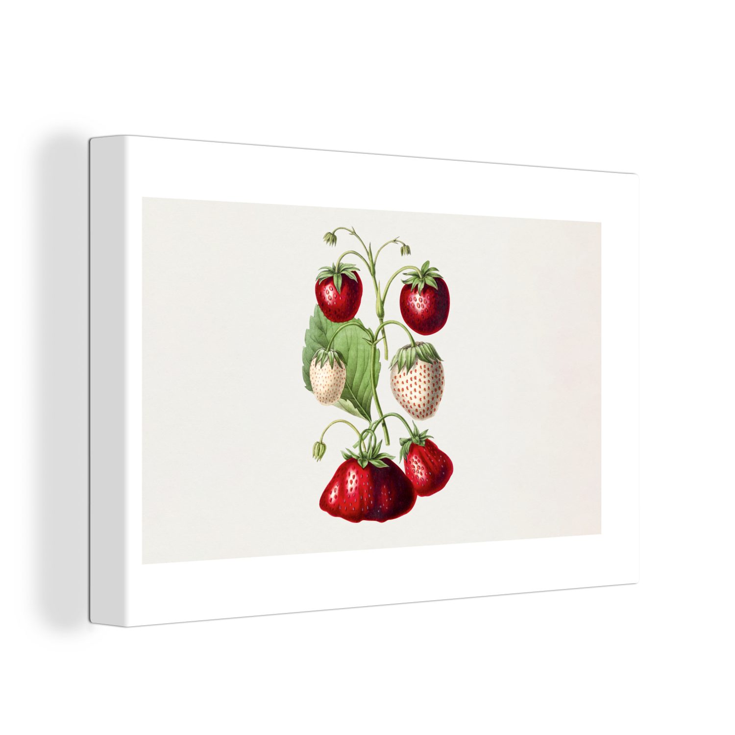 OneMillionCanvasses® Leinwandbild Erdbeeren - Obst - Gesund, (1 St), Wandbild Leinwandbilder, Aufhängefertig, Wanddeko, 30x20 cm