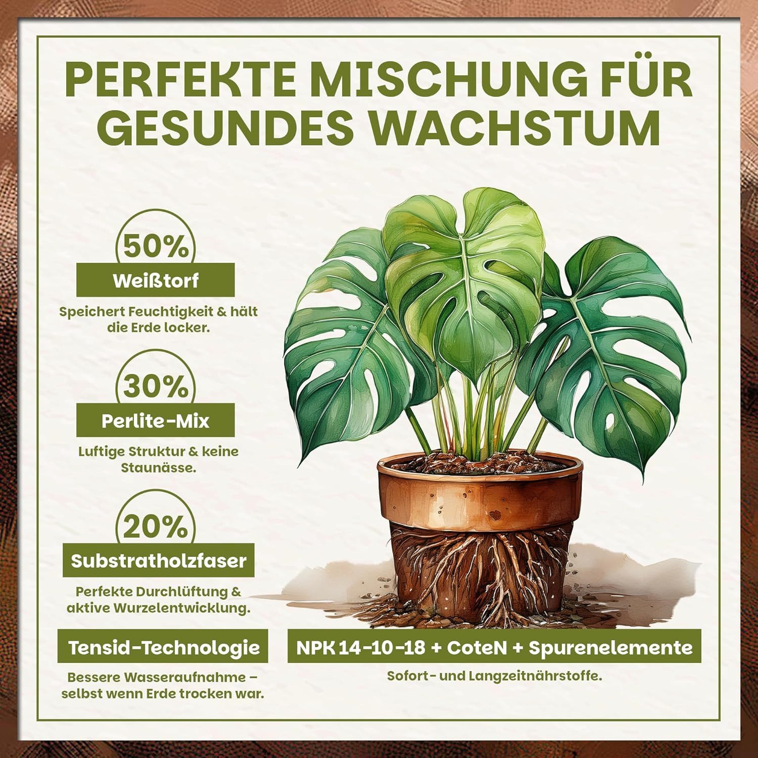 GREEN HOME LOVE NATURE Spezialerde Monstera Erde – Substrat für Monstera, Aroiden & Zimmerpflanzen 18 L, 36 L, 72 L, Langzeitdünger, Perlit, Kokosfasern, pH 5,8 – Bild 3 von 5