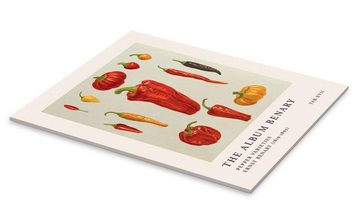 Posterlounge Acrylglasbild Ernst Benary, The Album Benary - Pepper Varieties, Küche Vintage Illustration