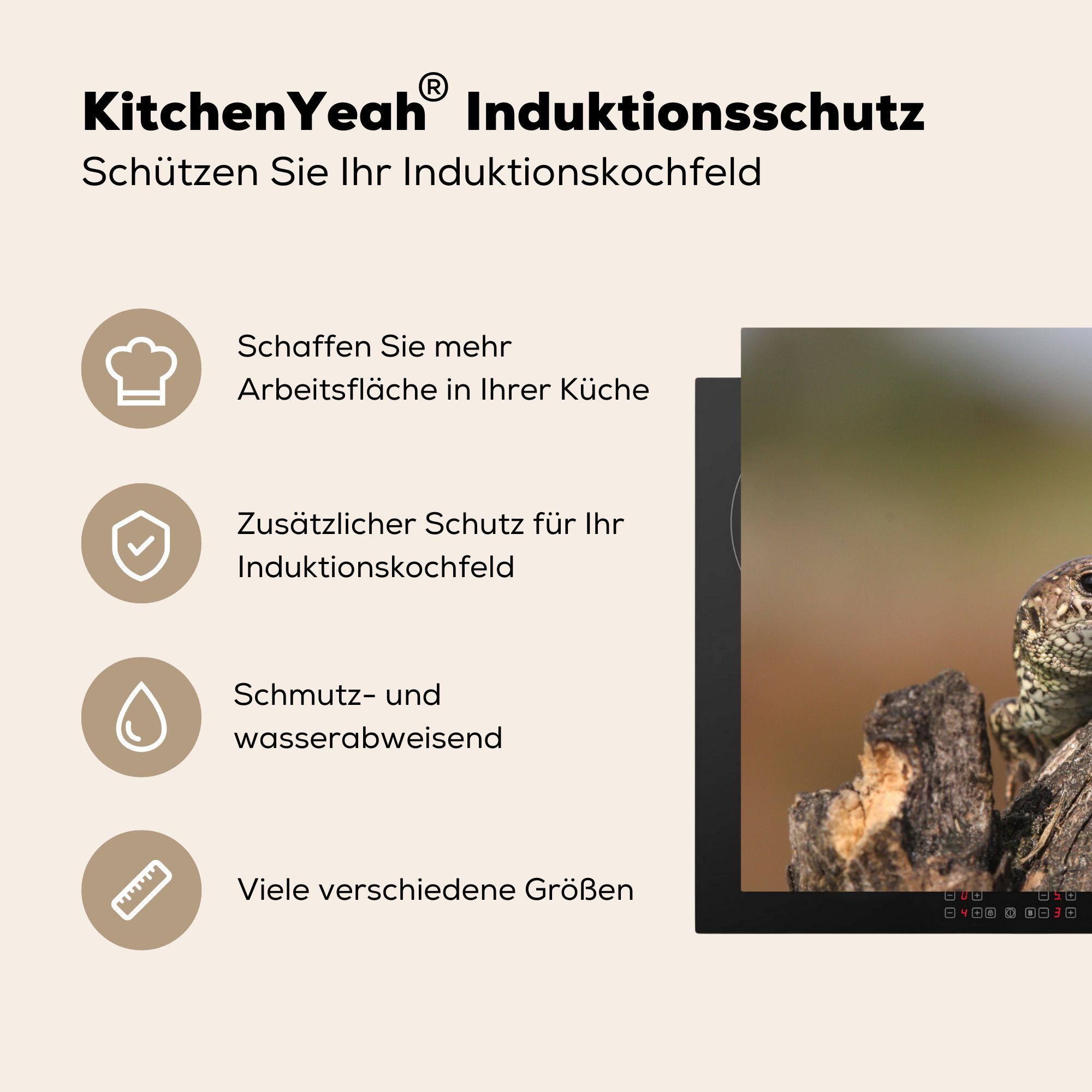 Schutz 81x52 Vinyl, für Herdblende-/Abdeckplatte MuchoWow cm, Eidechsenbaby, (1 Ceranfeldabdeckung tlg), Ein küche, die Induktionskochfeld