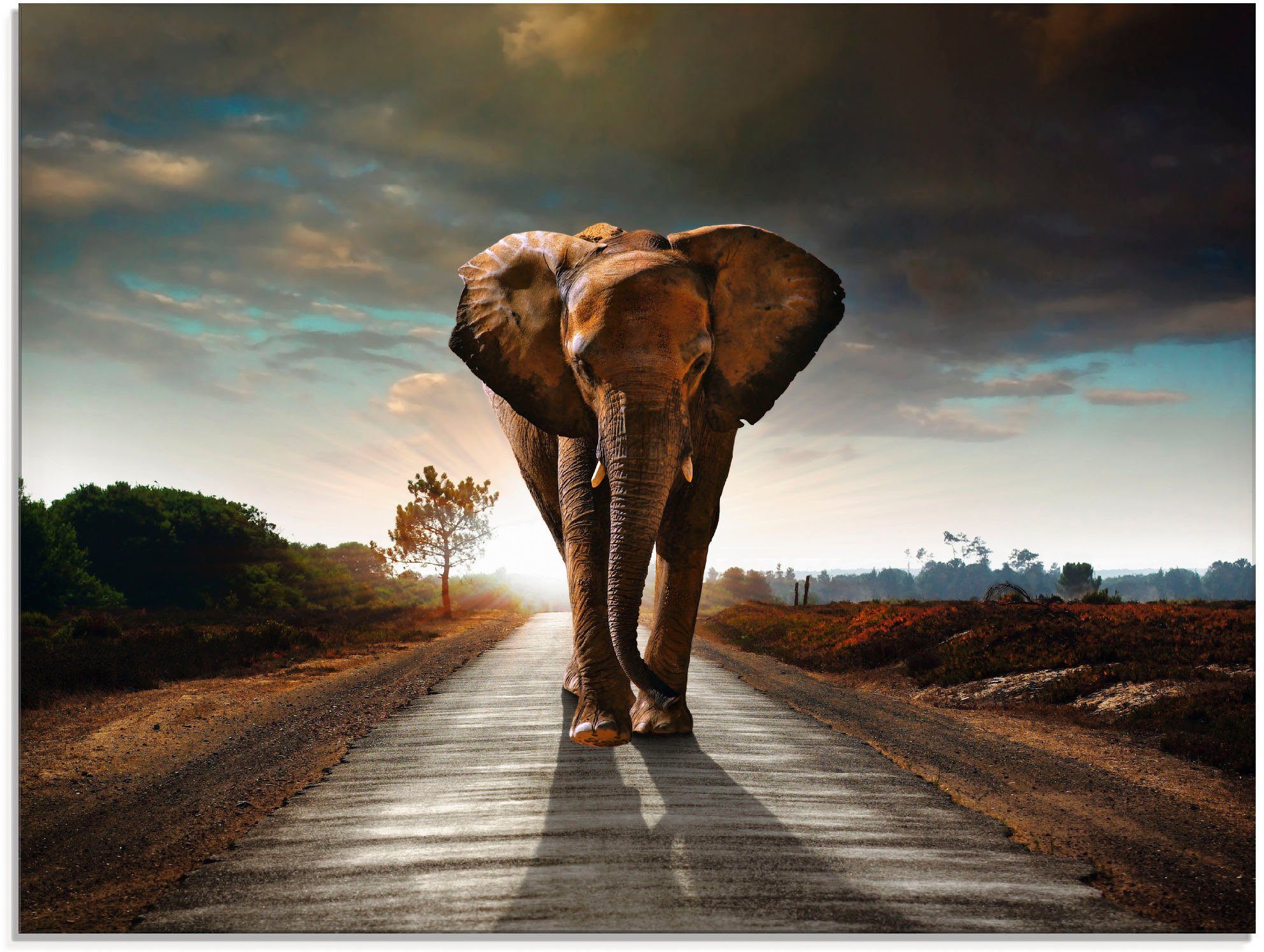 Artland Glasbild Ein Elefant läuft auf der Straße, Wildtiere (1 St), in verschiedenen Größen