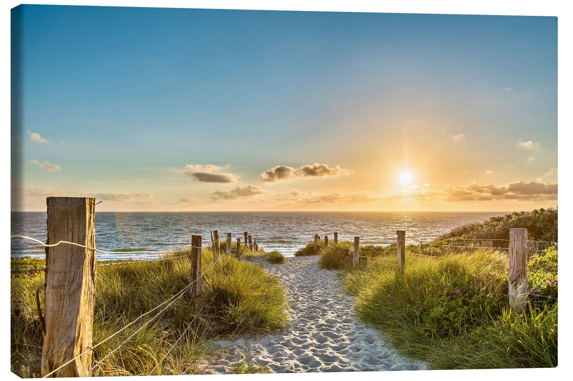 Posterlounge Wandbild Weg durch die Dünen der Ostsee, Iconic Photo Collection, erhältlich als Poster, Leinwandbild, Wandsticker oder Acrylglasbild