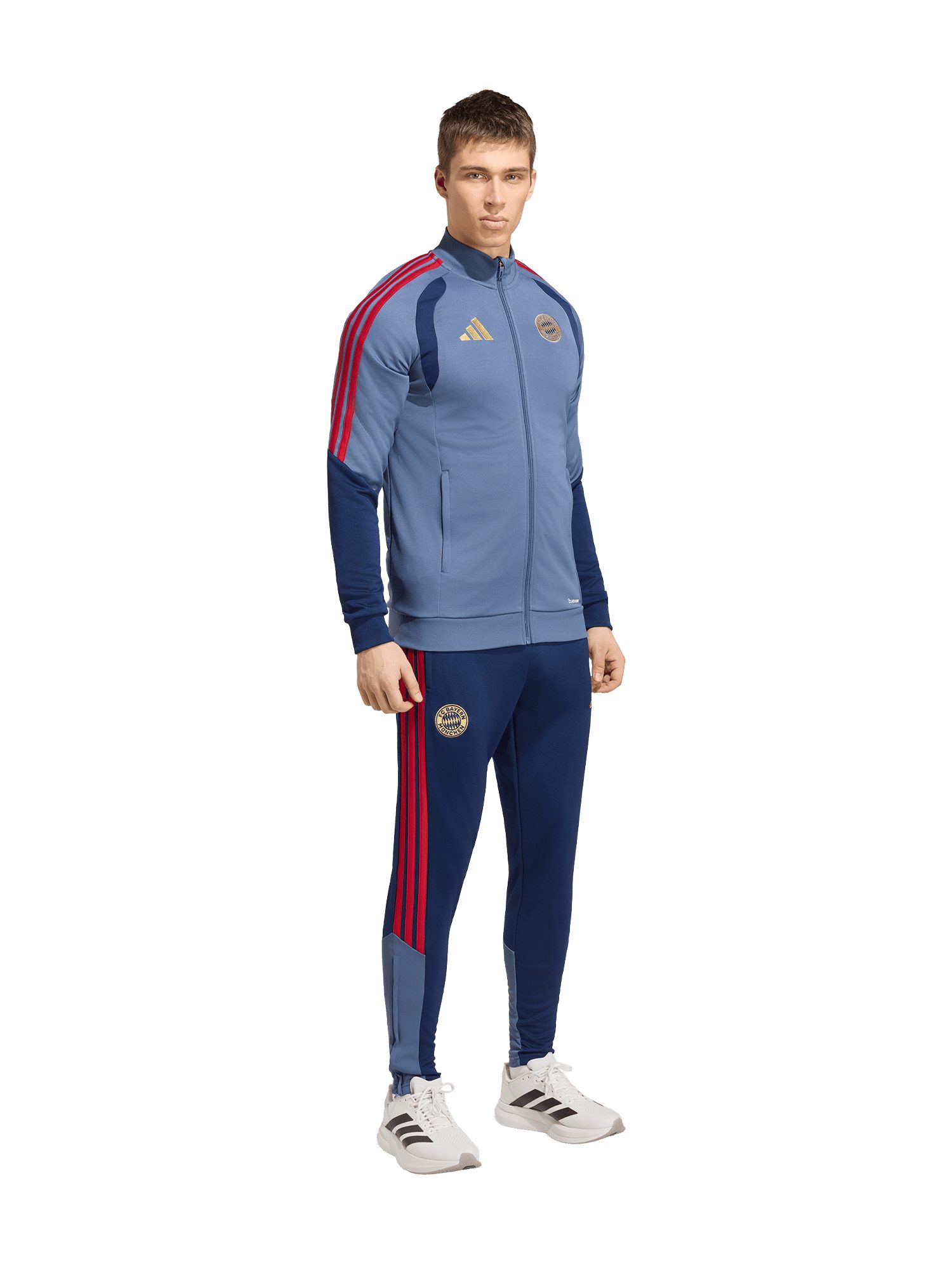 adidas Performance Trainingsanzug FC Bayern München, Trainingsanzug Teamline, Herren, Blau
