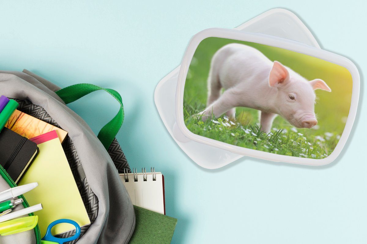 für - Brotdose, Schwein, weiß Jungs Lunchbox Ferkel Kinder MuchoWow Tiere Kunststoff, und - und für (2-tlg), Erwachsene, Brotbox Mädchen