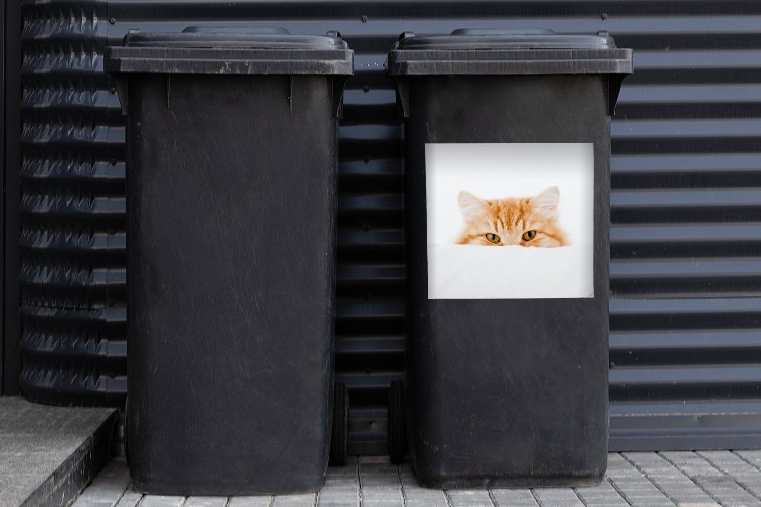 MuchoWow Wandsticker Katze Container, Mädchen - Kind (1 Rot Jungen - Sticker, St), Abfalbehälter Weiß - - Mülltonne, Mülleimer-aufkleber, 