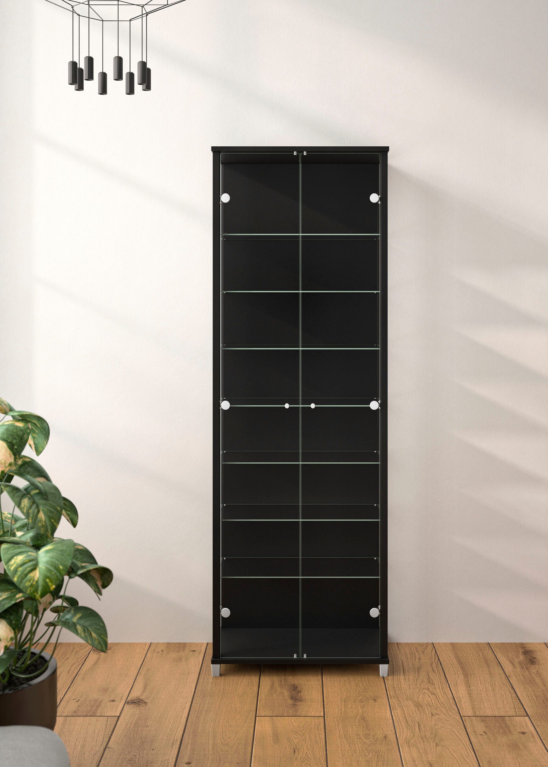 fif möbel Vitrine Optima Standvitrine, 2 günstig online kaufen