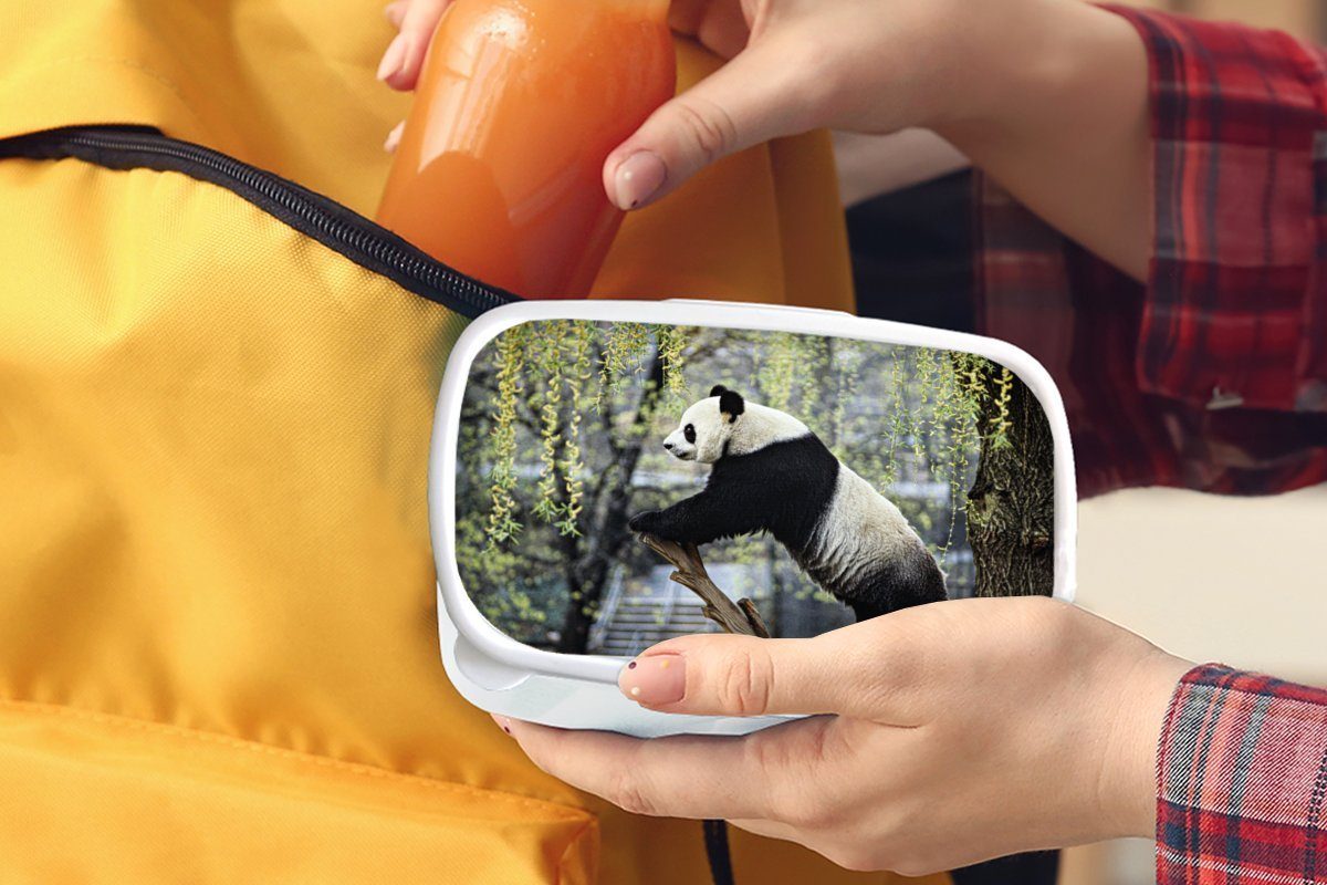 Panda - (2-tlg), Erwachsene, Baum, für Kunststoff, Mädchen Brotbox und Brotdose, - weiß Lunchbox Jungs Fluss und MuchoWow Kinder für