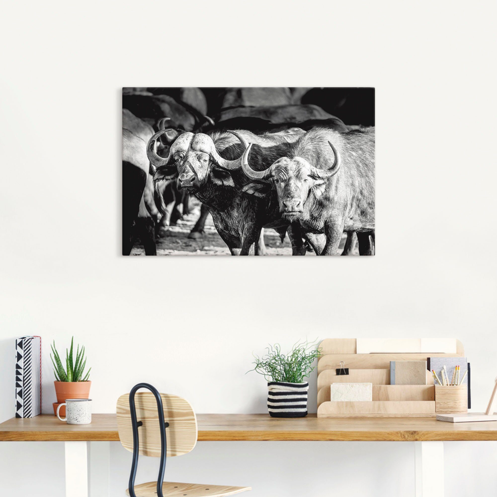 Wildtiere oder Wandbild als Wandaufkleber Alubild, versch. Größen Leinwandbild, Artland in Poster St), Büffel, (1