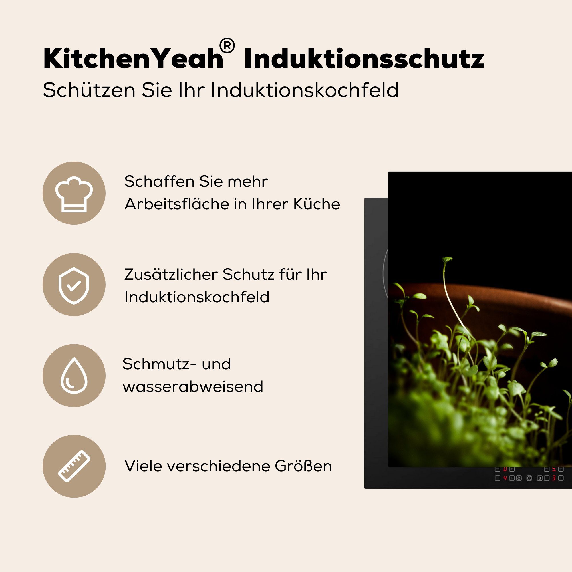 Induktionsmatte Vinyl, cm, küche, für Thymian einem 59x52 MuchoWow Herdblende-/Abdeckplatte (1 Tontopf, von in Ceranfeldabdeckung die Pflanzung tlg),